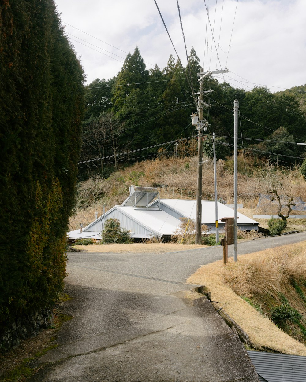 an empty street with a white building in the background