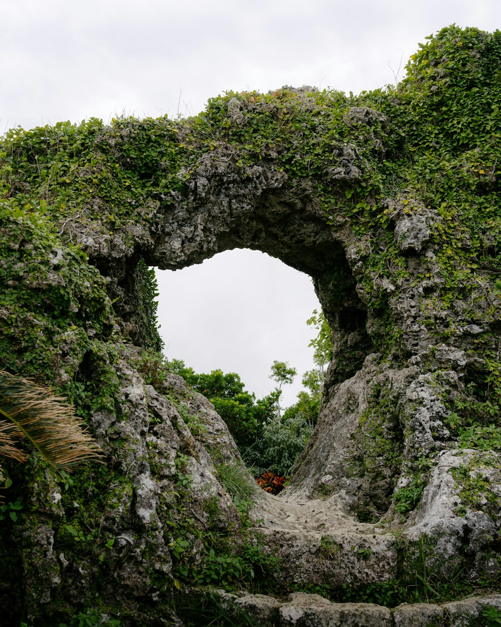 a stone arch covered in green vegetation with a white sky in the background