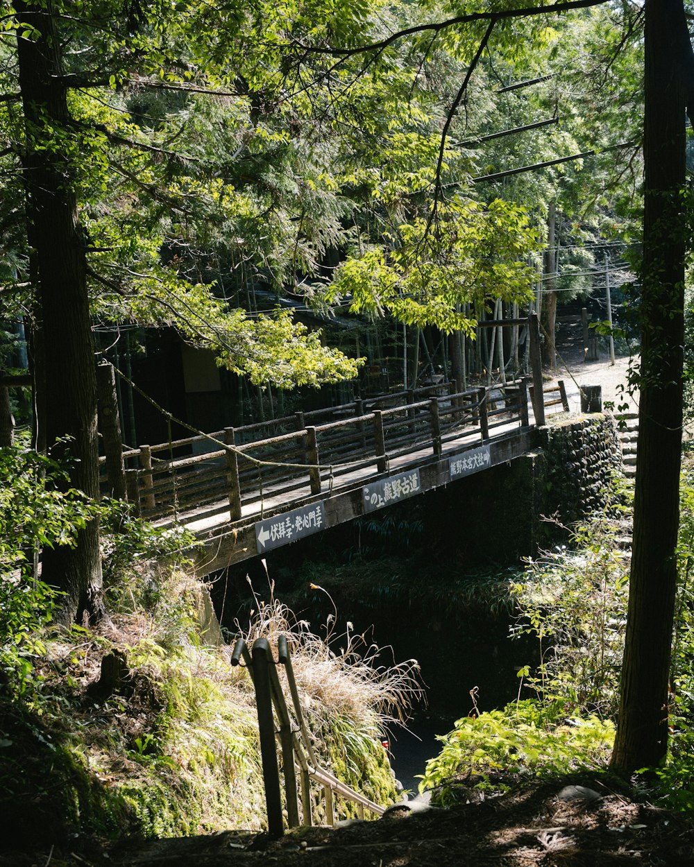 a wooden bridge over a small stream in a forest