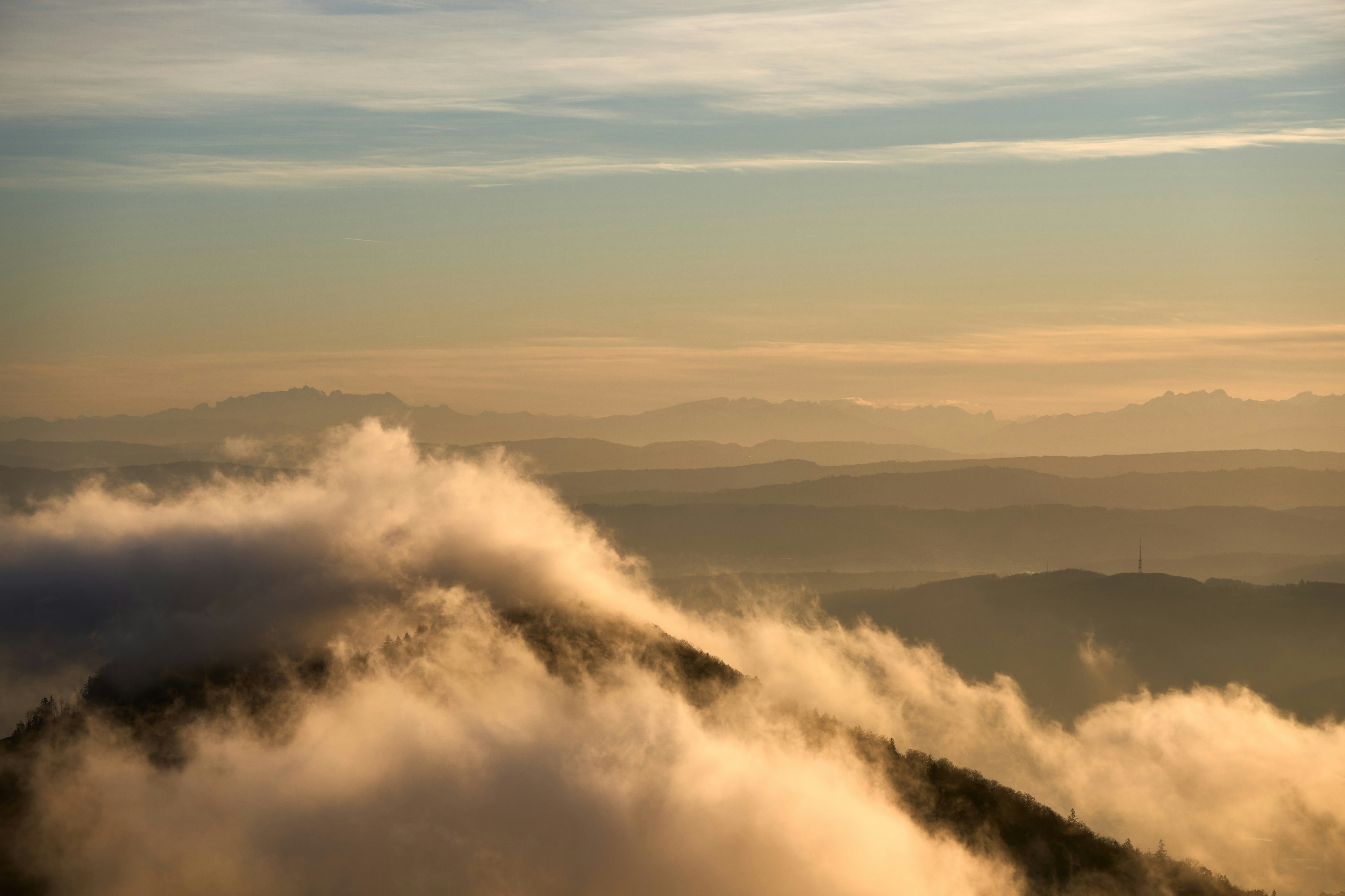 Photo by wolfgang_hasselmann