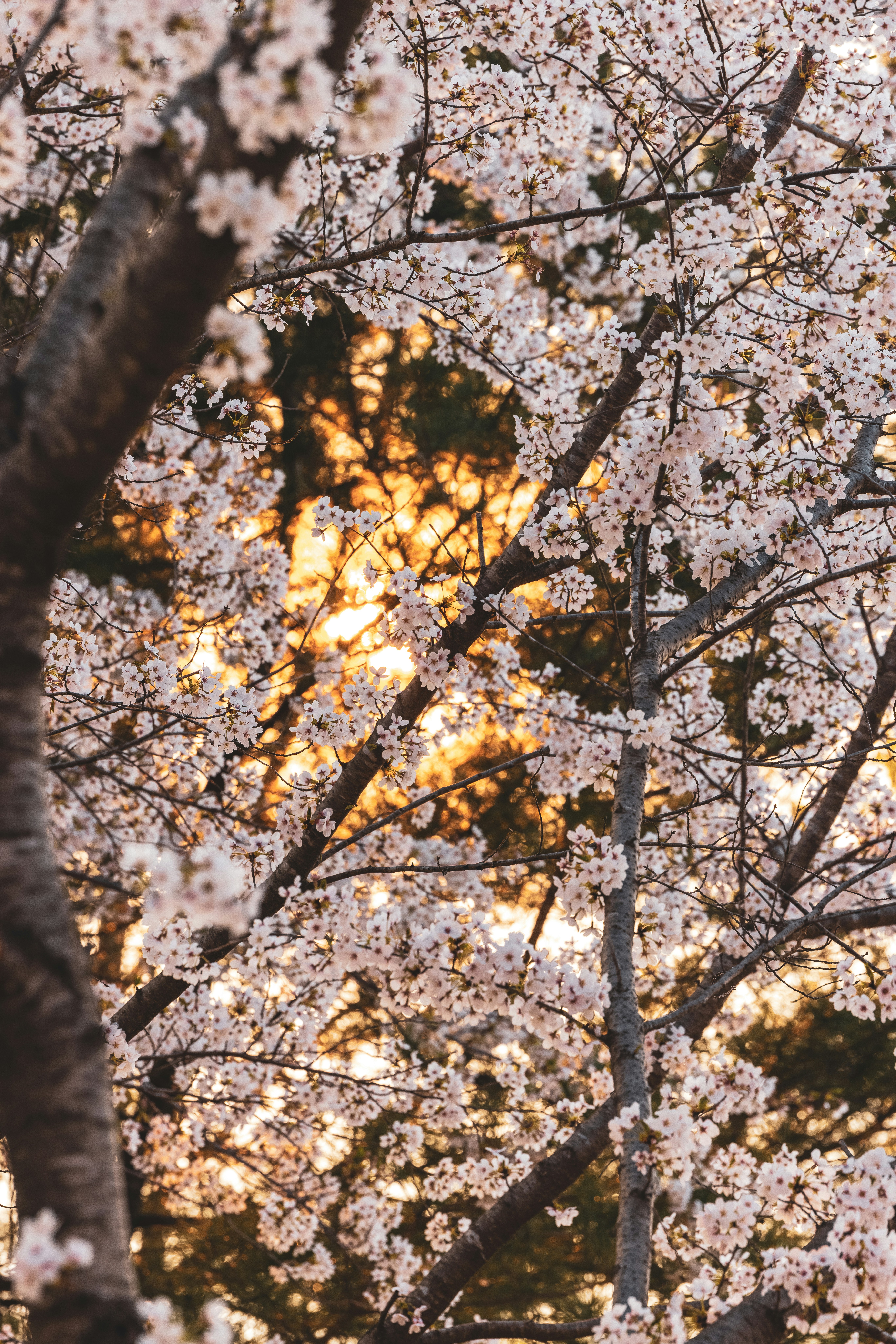 Photo by photosofkorea