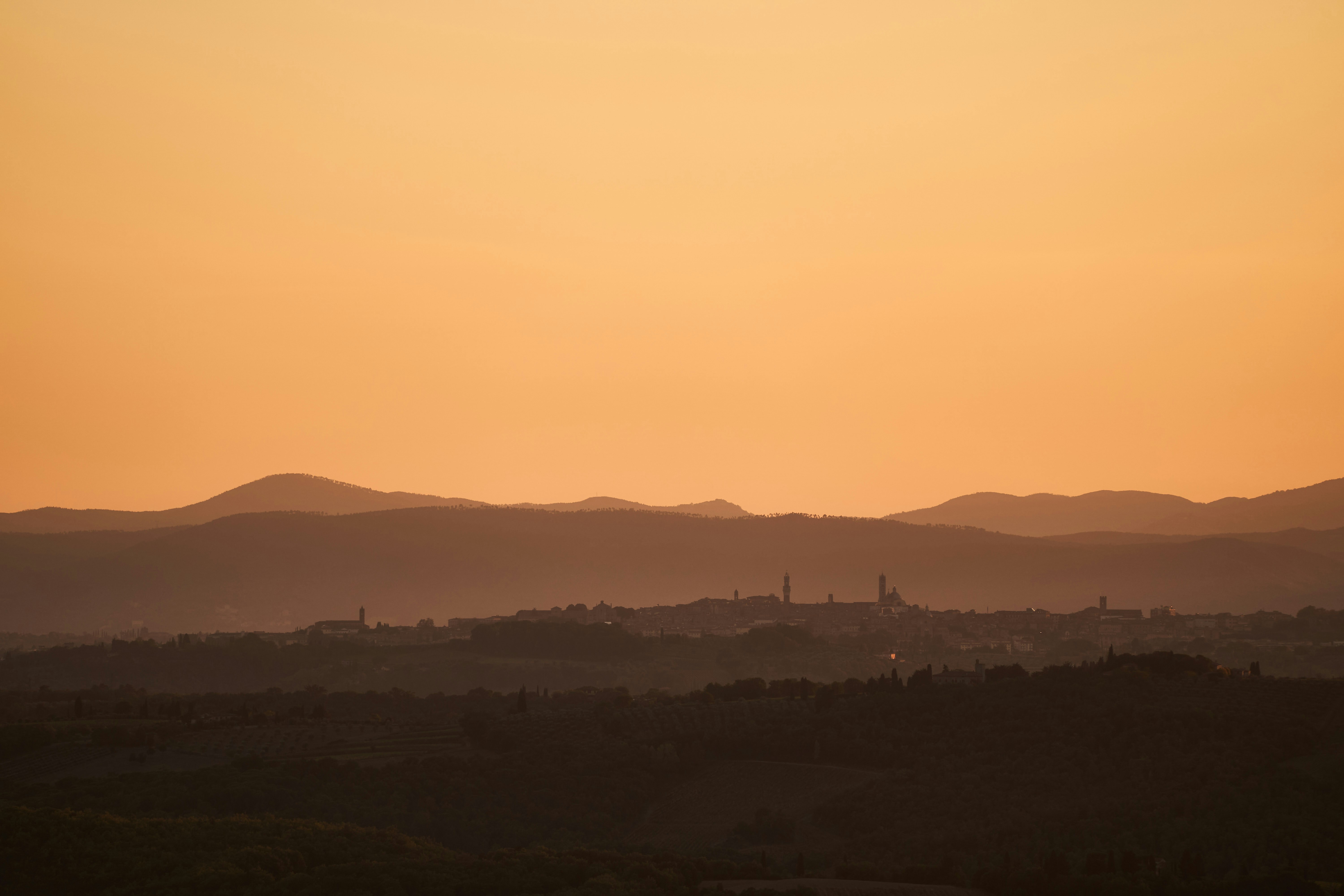 Photo by wolfgang_hasselmann