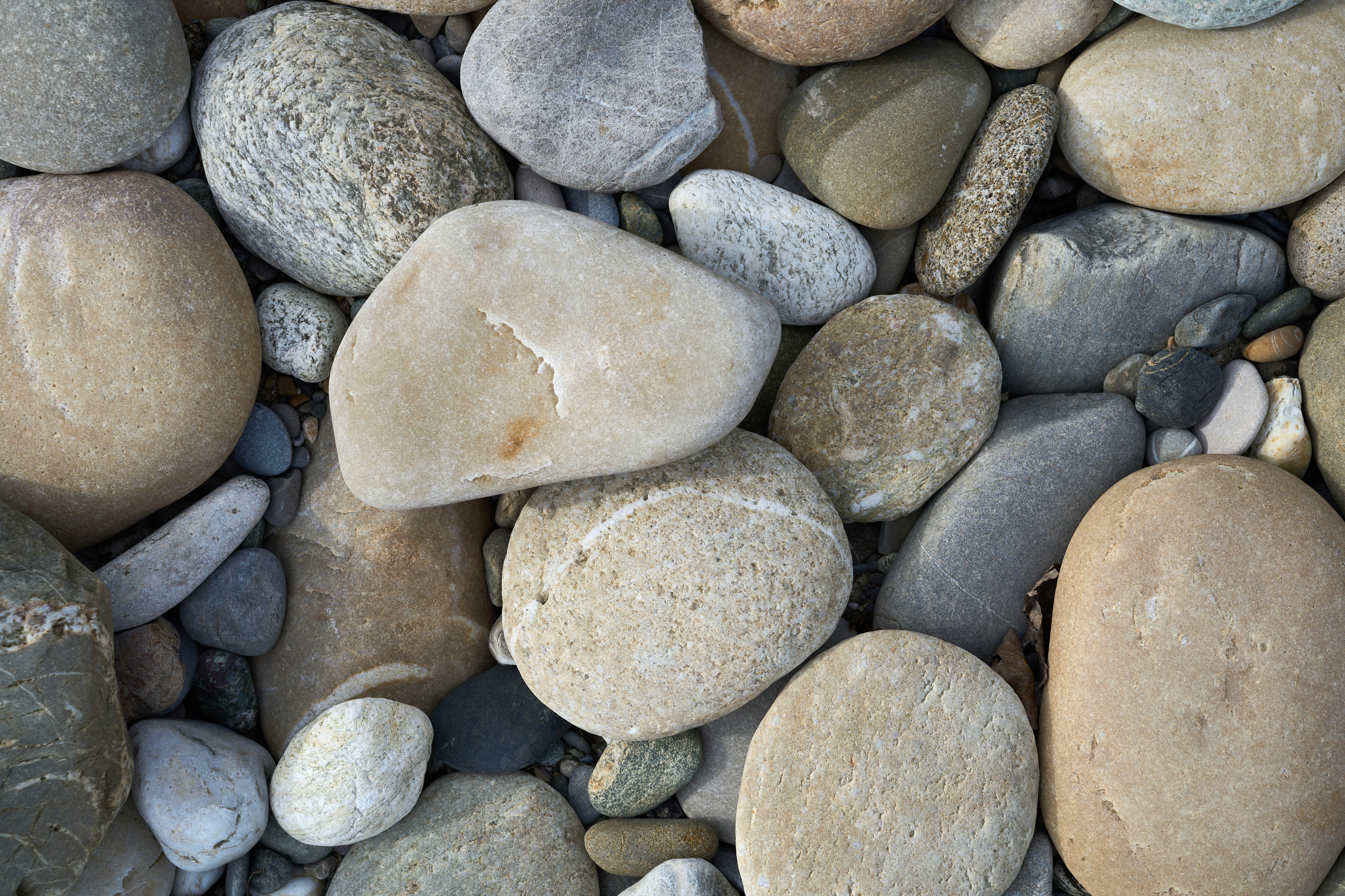 Photo by wolfgang_hasselmann