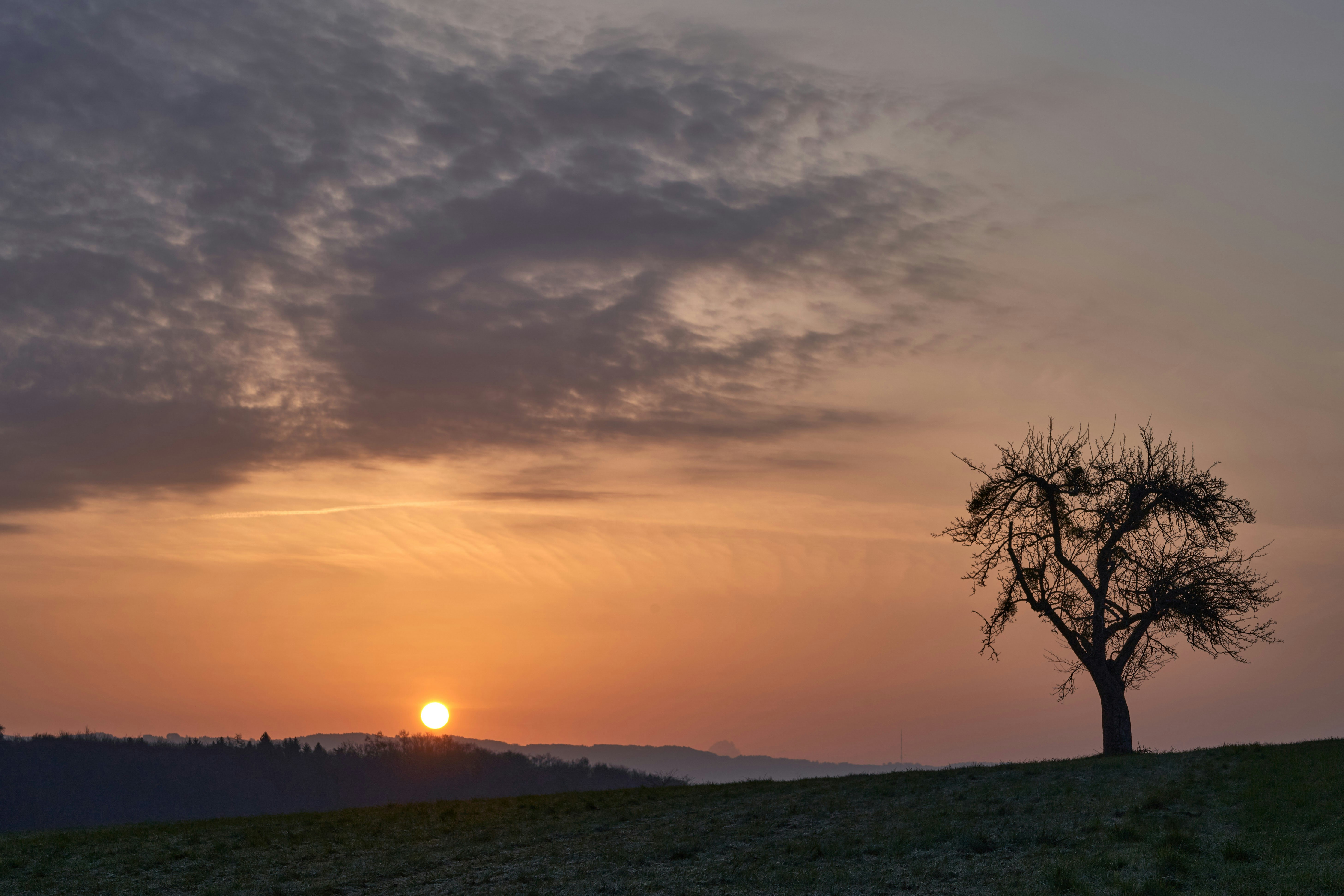 Photo by wolfgang_hasselmann