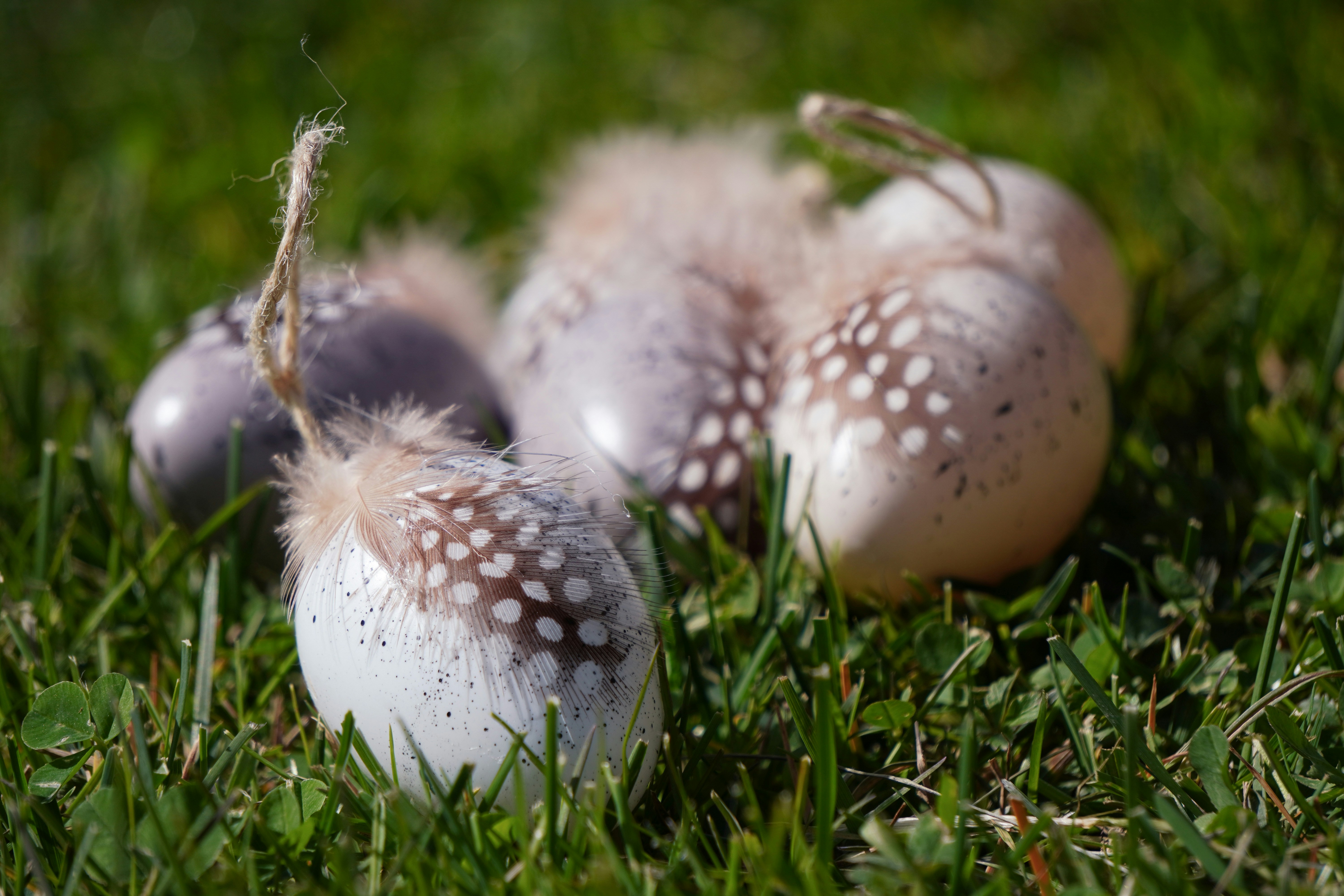 Photo by kat_von_wood