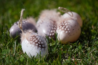 Several decorative Easter eggs with feathers and strings are laid out on a grassy surface. The eggs feature a speckled pattern, and the feathers add a rustic decorative element. The sunlight creates a natural and vibrant setting.