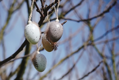 Three speckled eggs are hanging from a tree branch, each decorated with small feathers. The eggs appear to be crafted for decorative purposes, with a focus on a natural aesthetic. The background consists of a clear blue sky with blurred branches, suggesting a spring or festive theme.