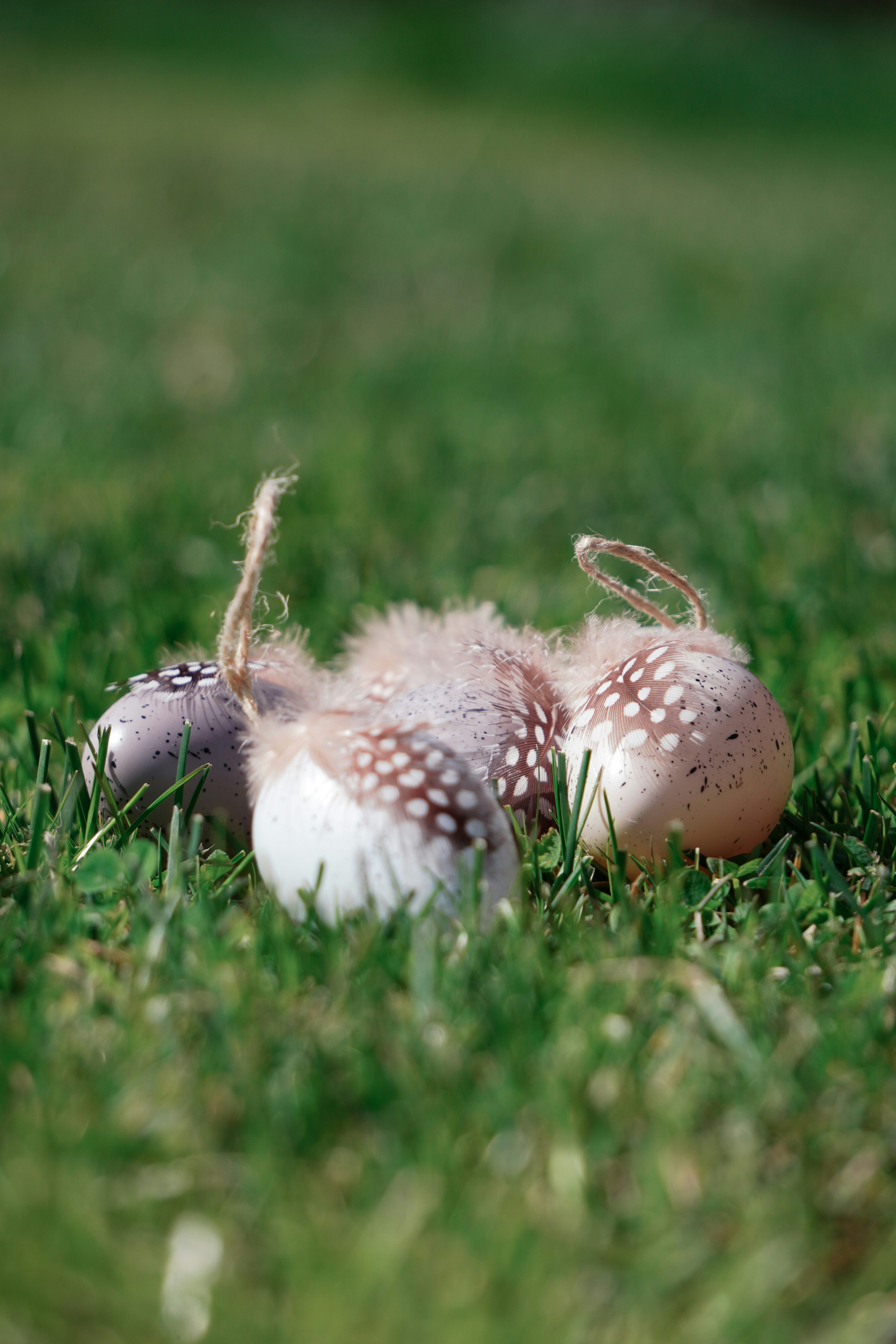 Photo by kat_von_wood