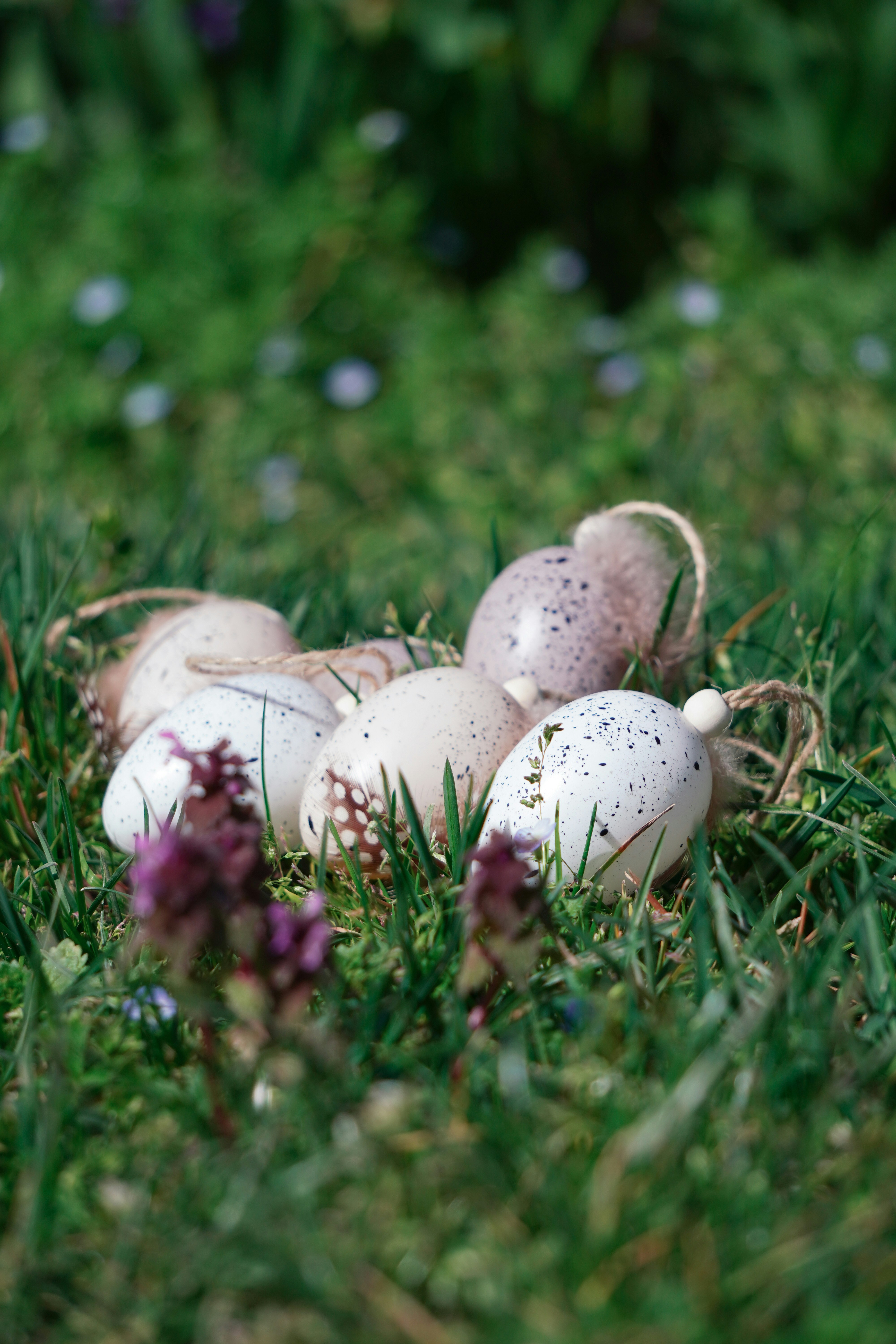 Photo by kat_von_wood