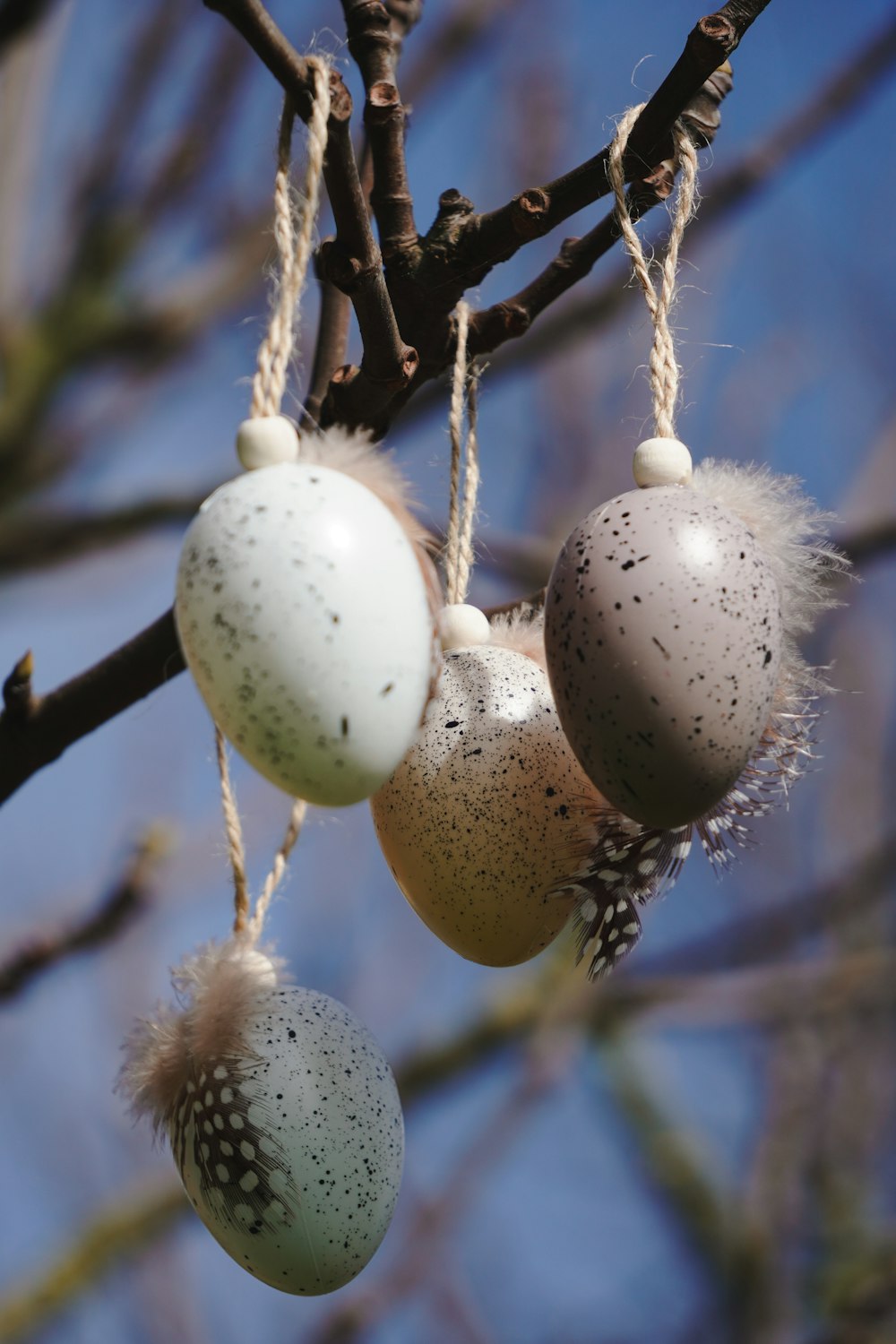 a group of ornaments hanging from a tree branch