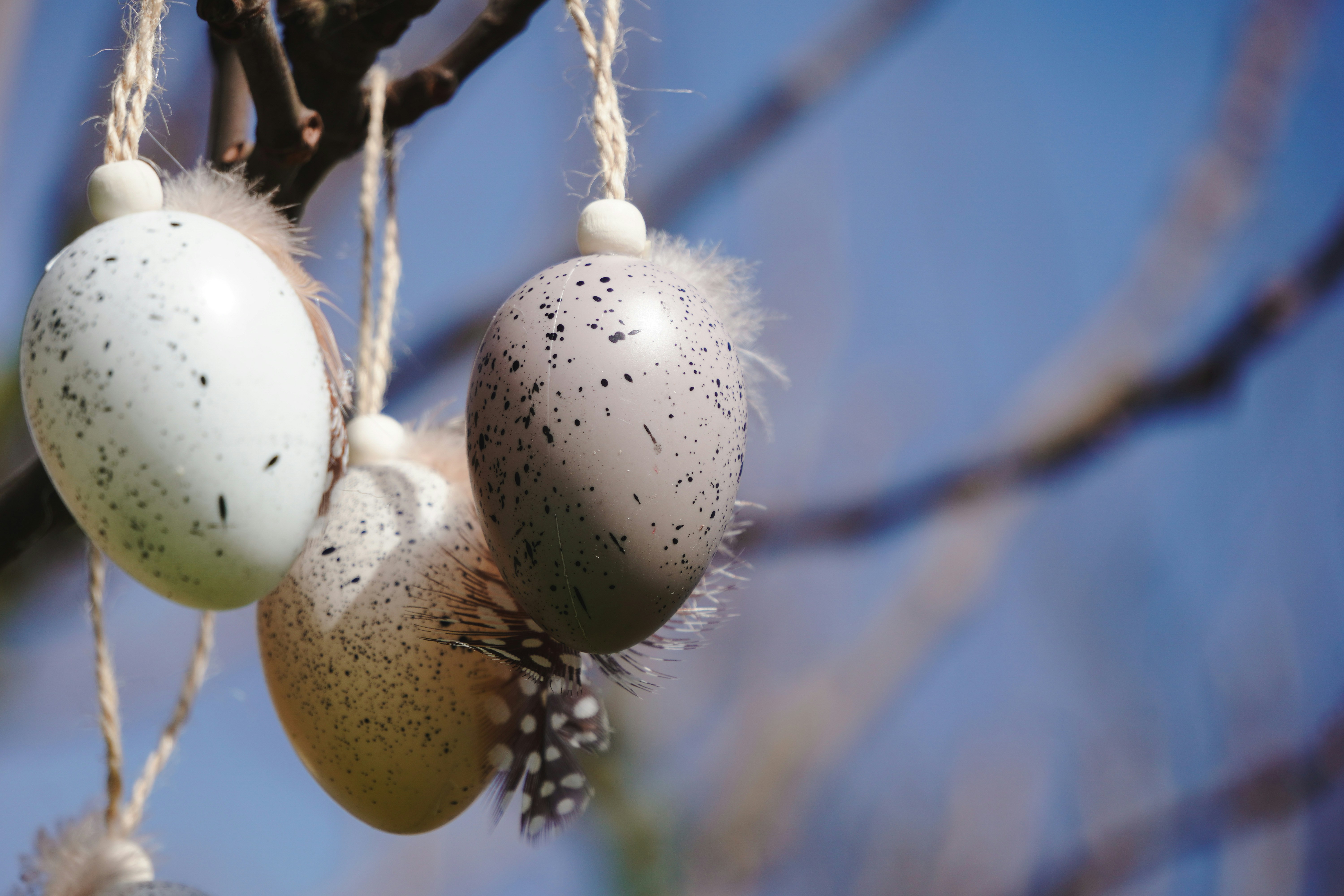 Photo by kat_von_wood