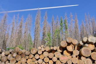a plane is flying over a pile of logs