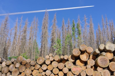 a plane is flying over a pile of logs