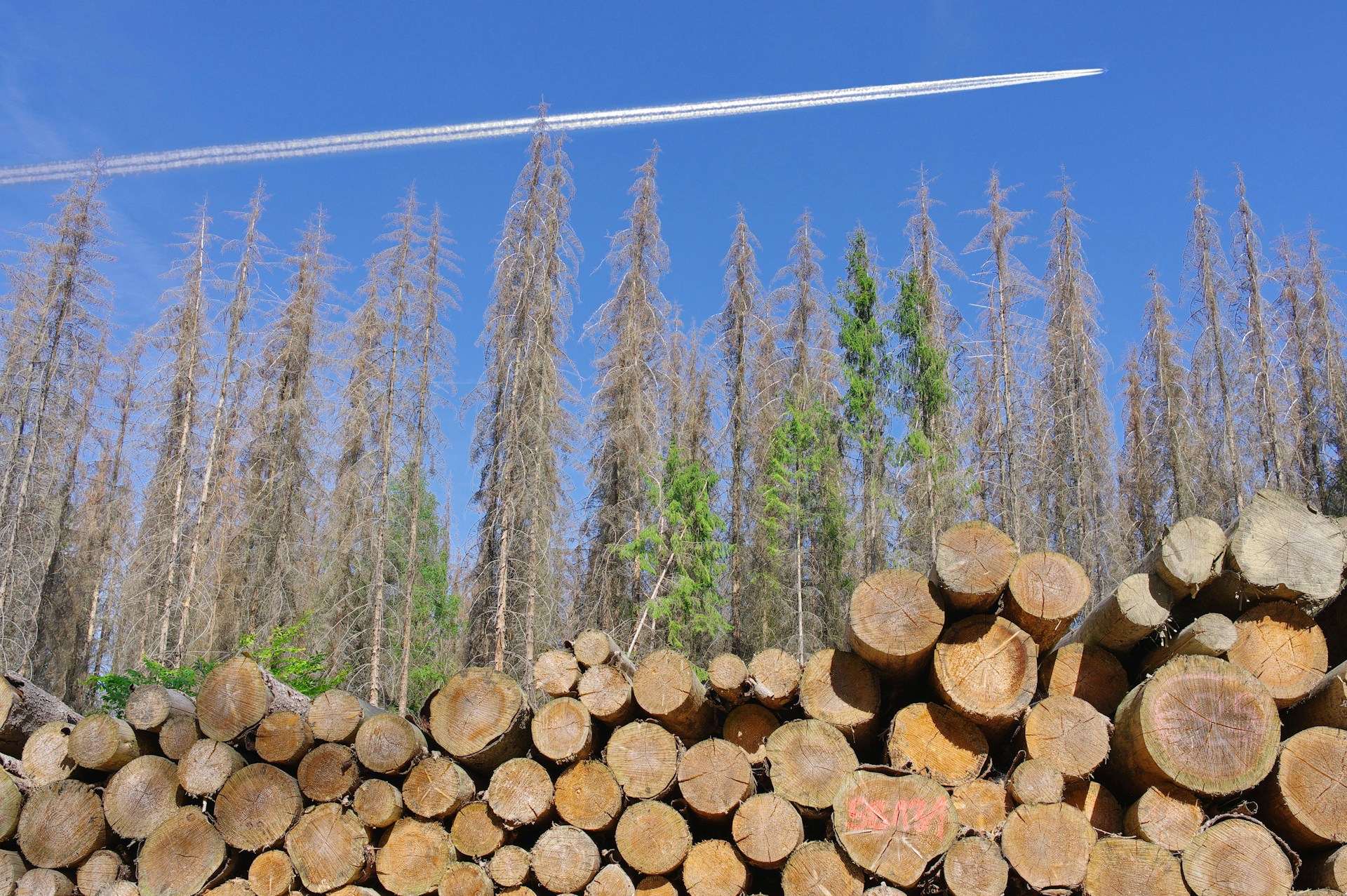 a plane is flying over a pile of logs