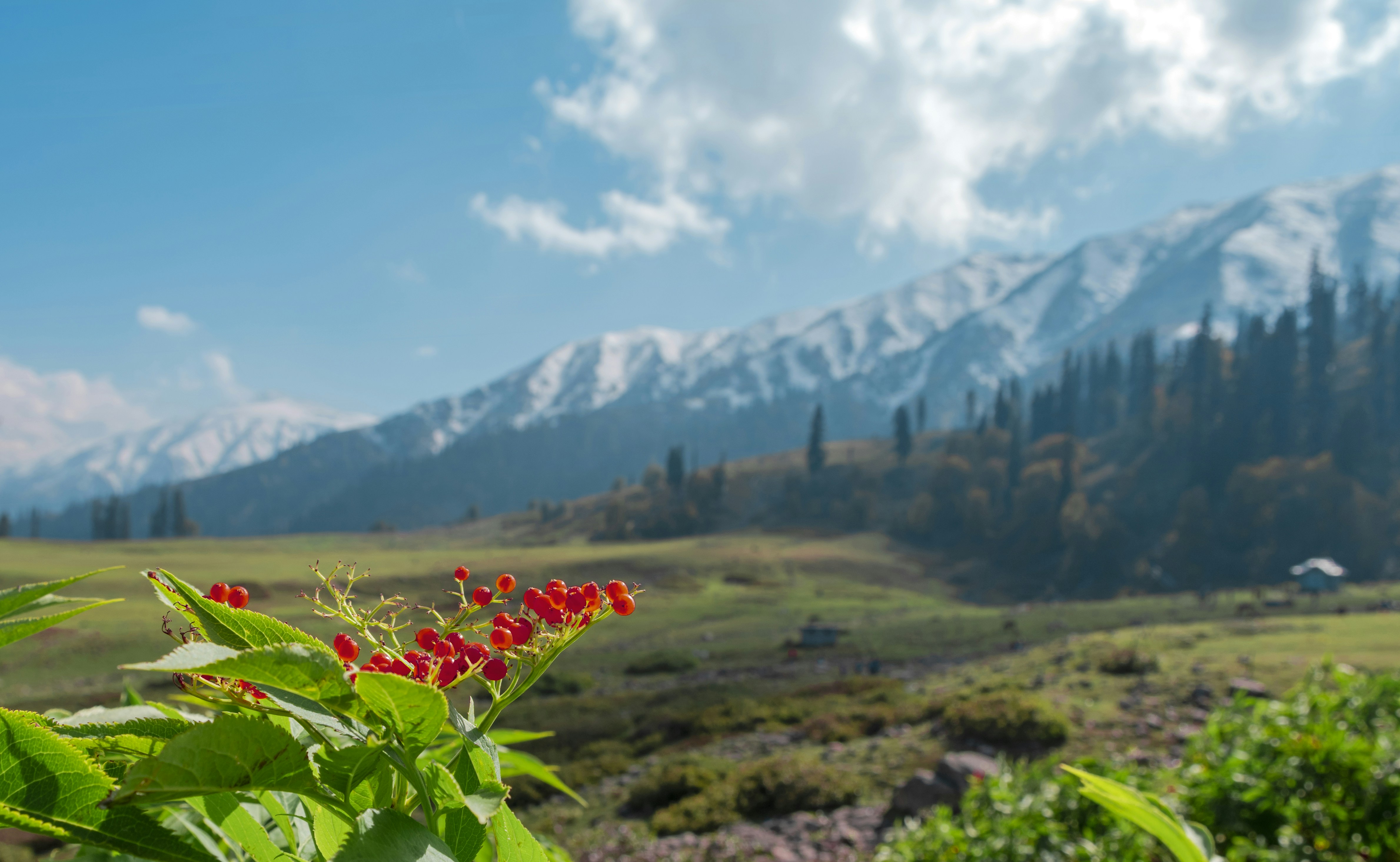 Photo by anubhavsonker