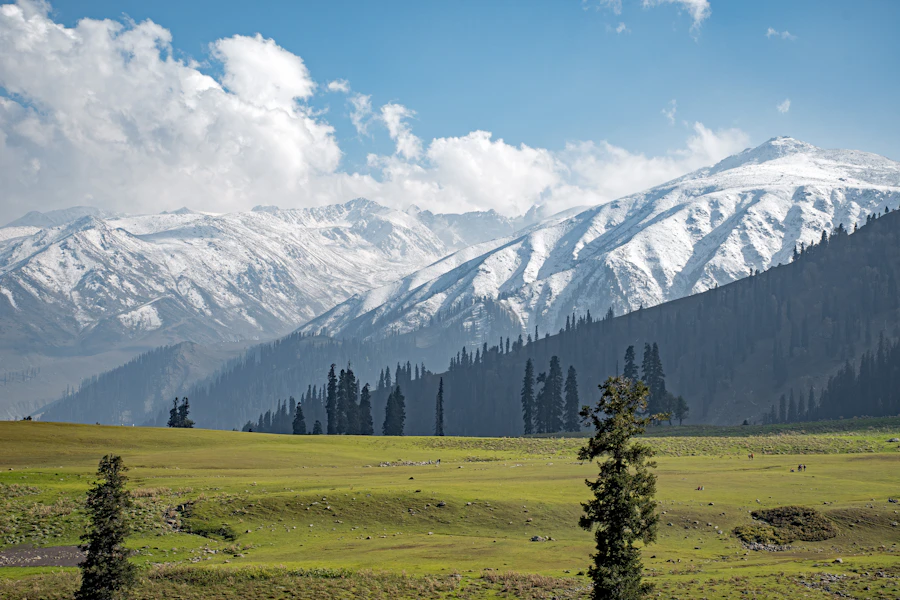 Gulmarg Kashmir alpine meadow and snowy mountains