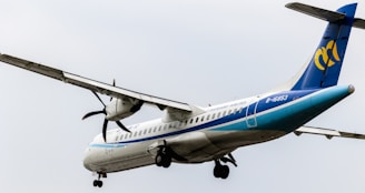 An airplane with twin engines on the wings is captured against a light gray sky, prominently displaying its blue and white color scheme. The airline logo and registration number are visible on the tail.