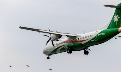 A green and white aircraft with a star emblem on the tail is flying in a clear sky. The airplane features propellers and has 'B-17005' marked on its side. There are birds flying beneath the plane.