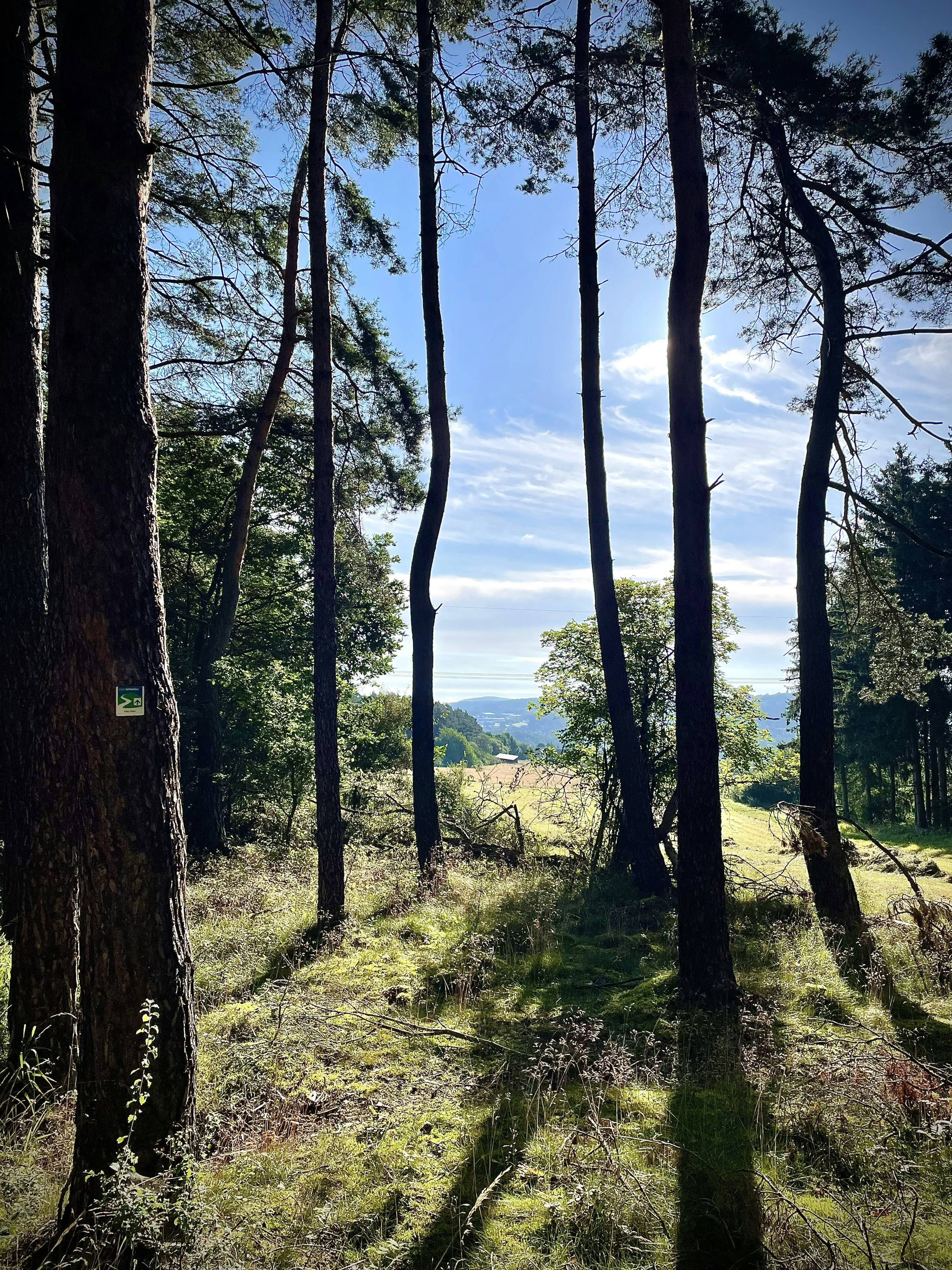 Photo by marcingoszofficial