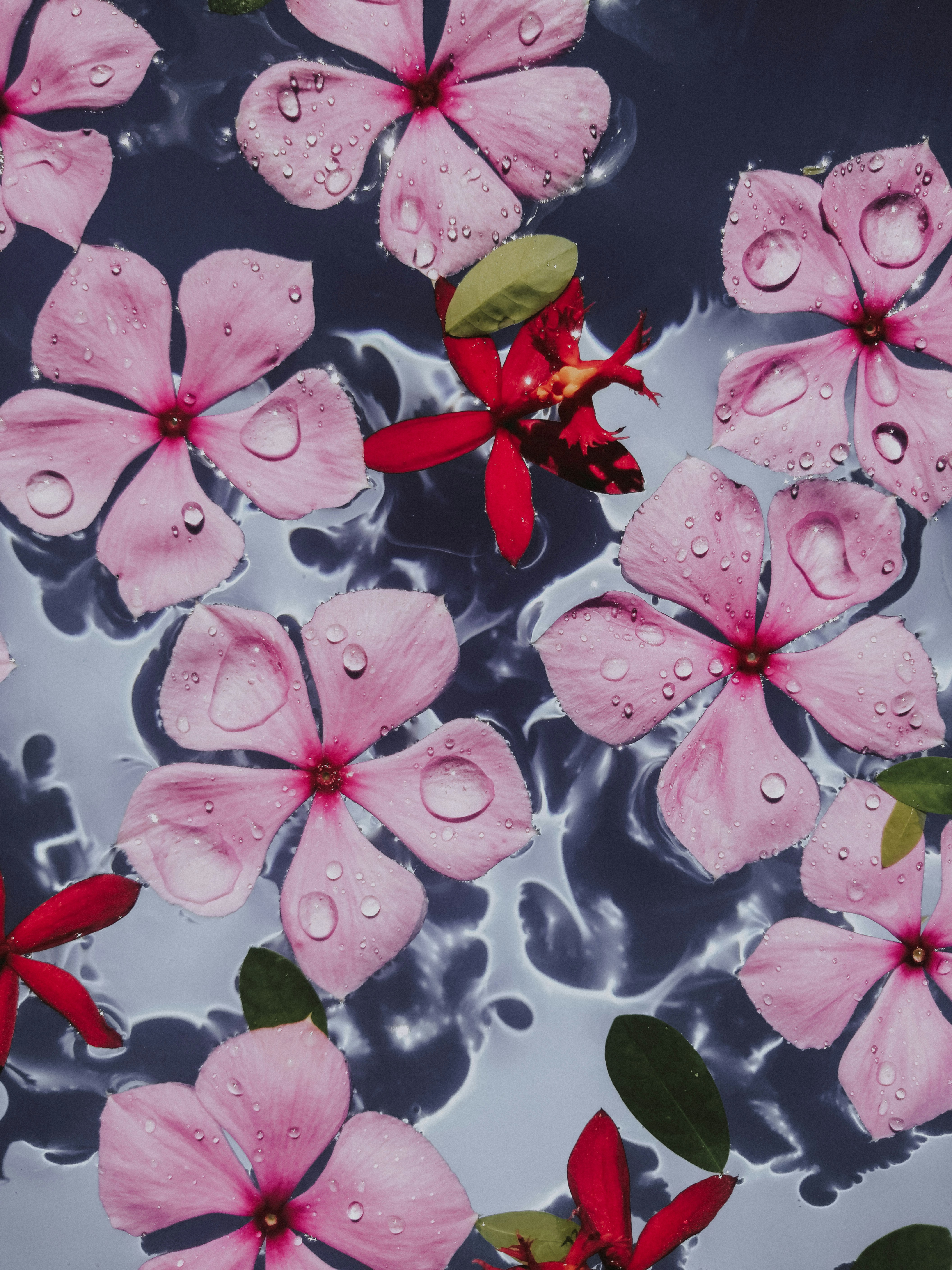 Photo by sonflower_23