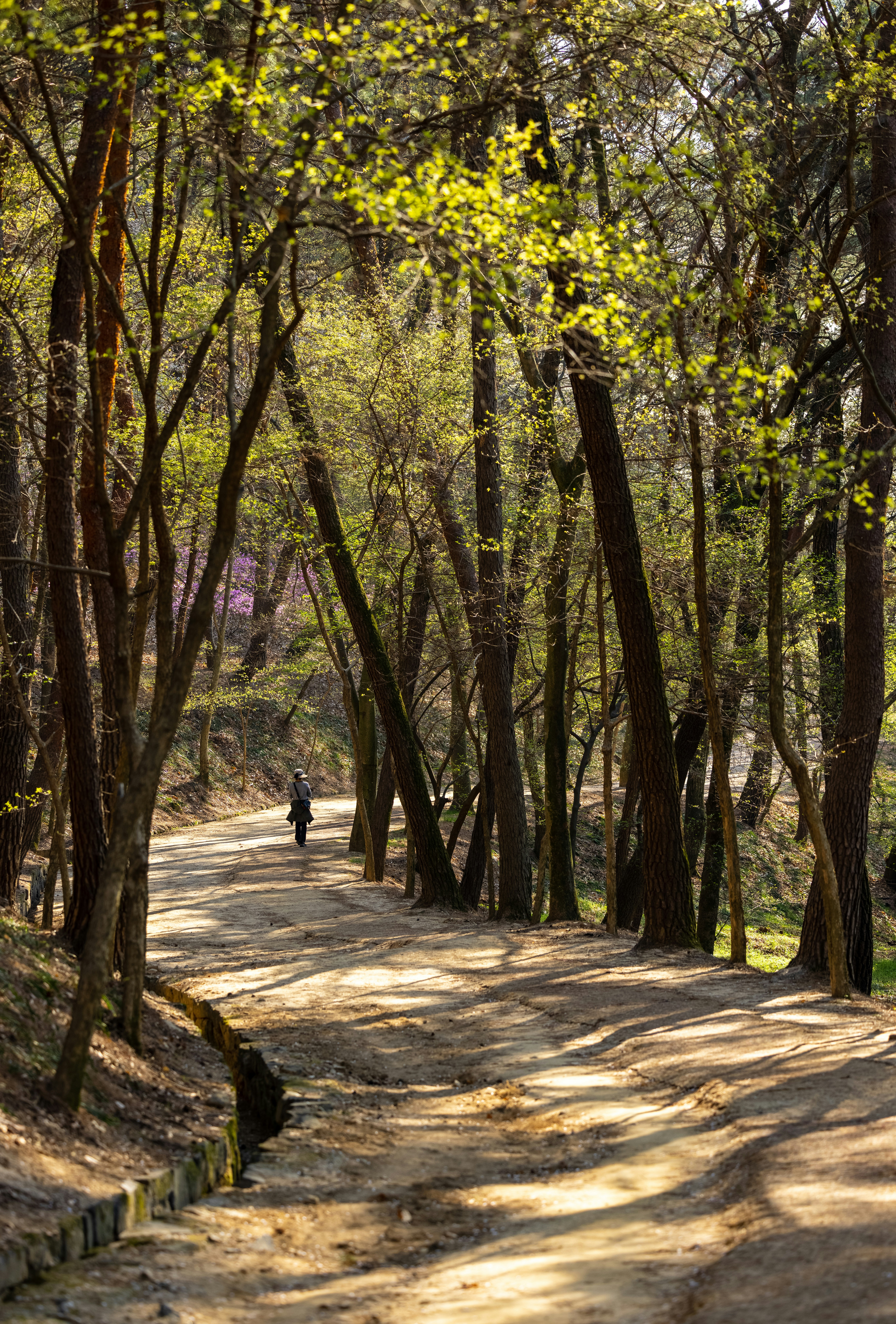 Photo by photosofkorea