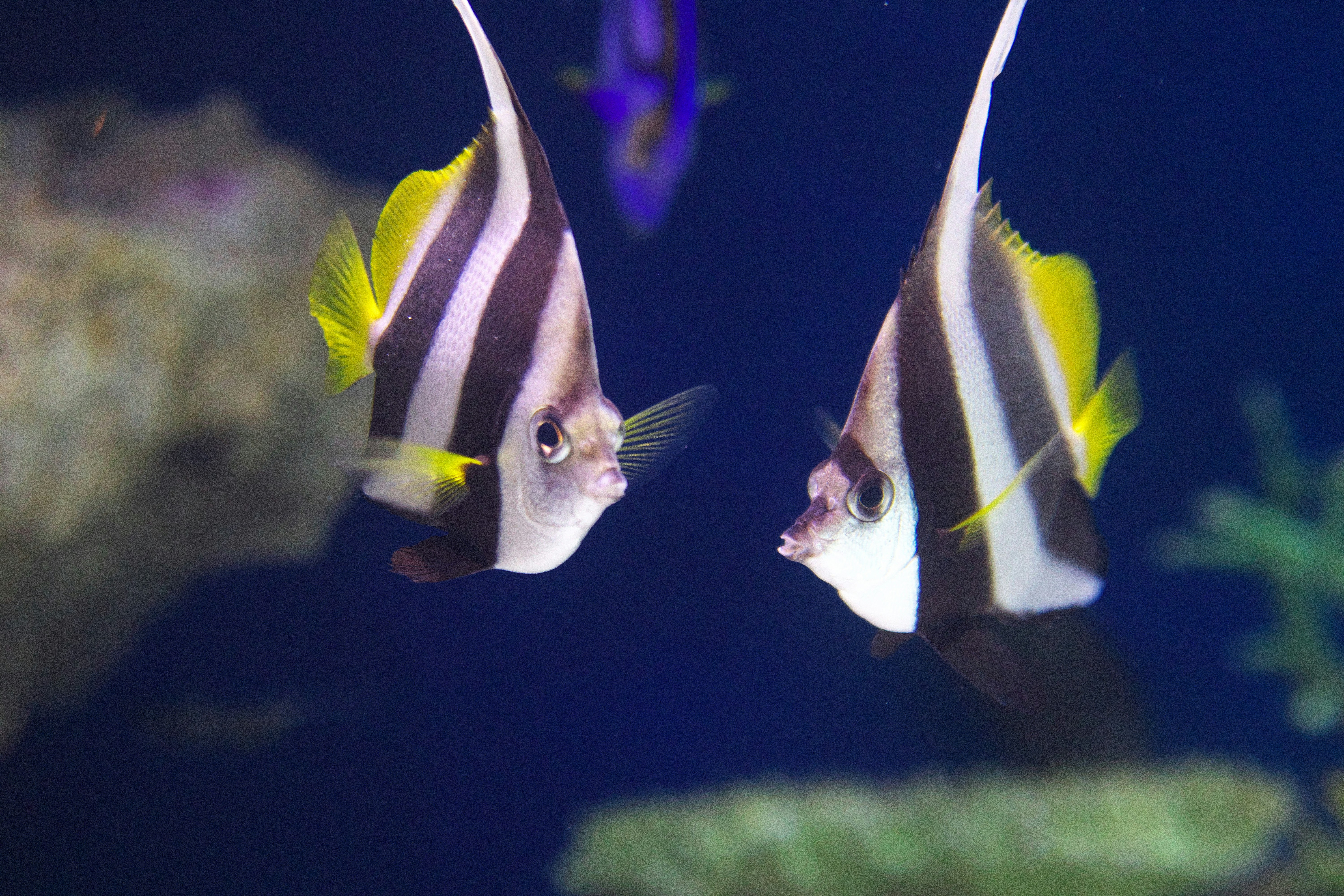 Photo by seichirochan