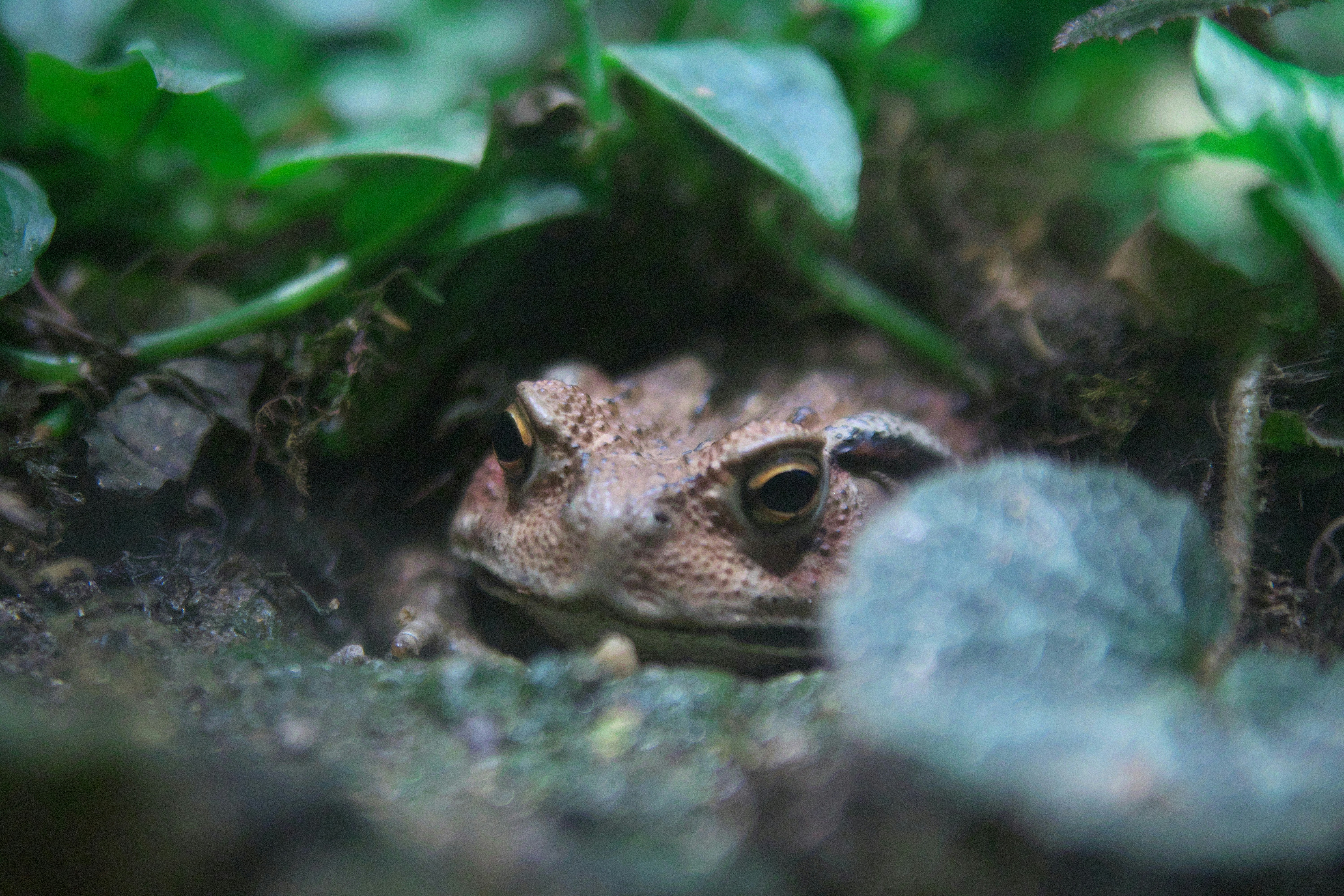 Photo by seichirochan