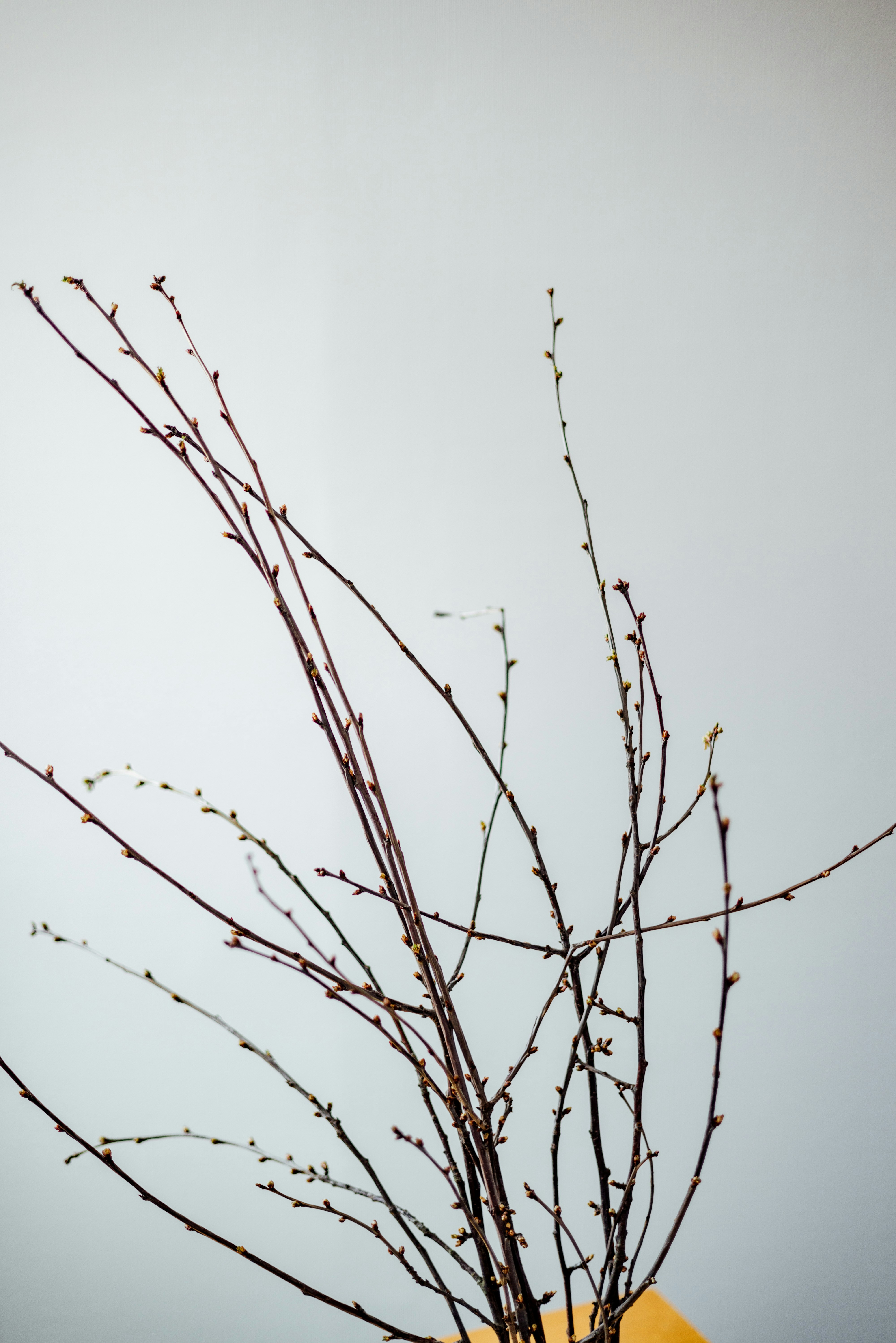 Photo by filipp_roman_photography