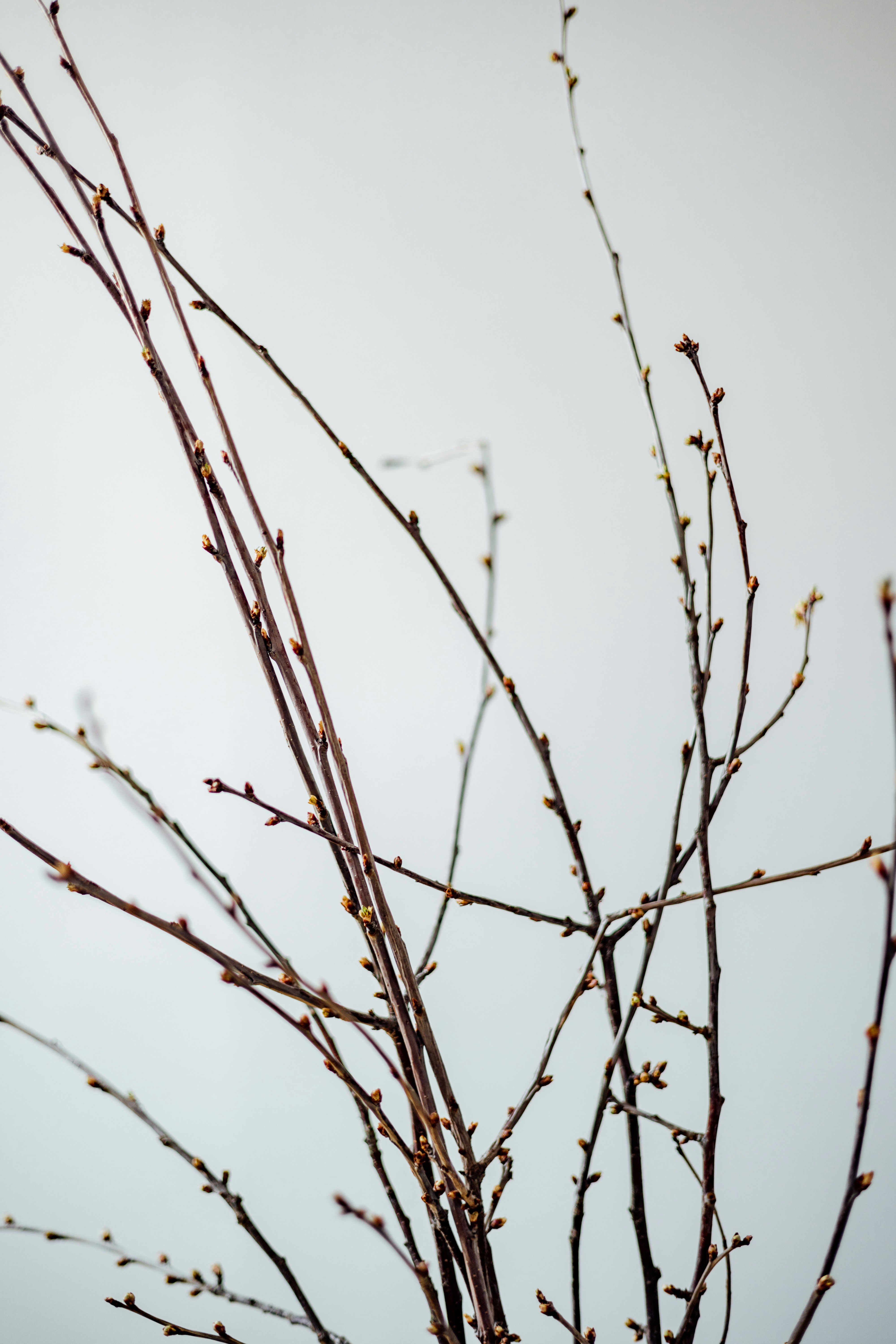 Photo by filipp_roman_photography