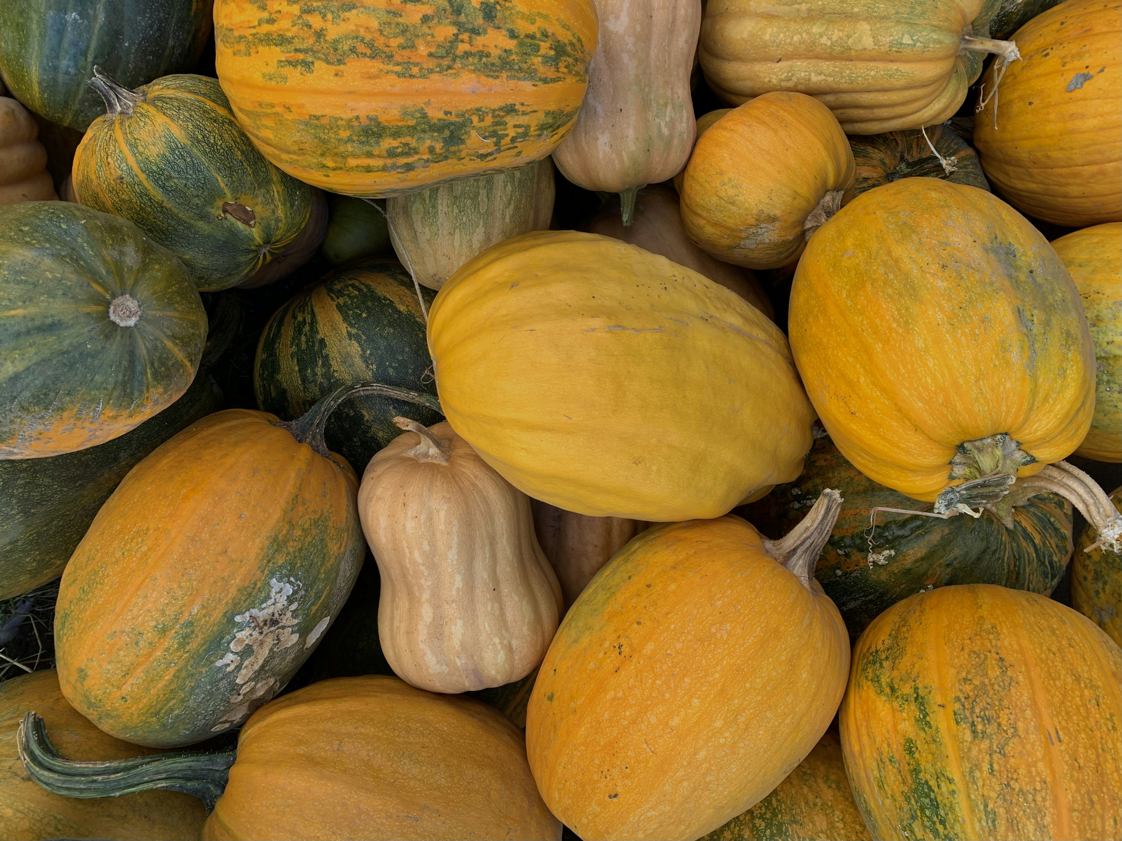 Photo by anyutakejbalo