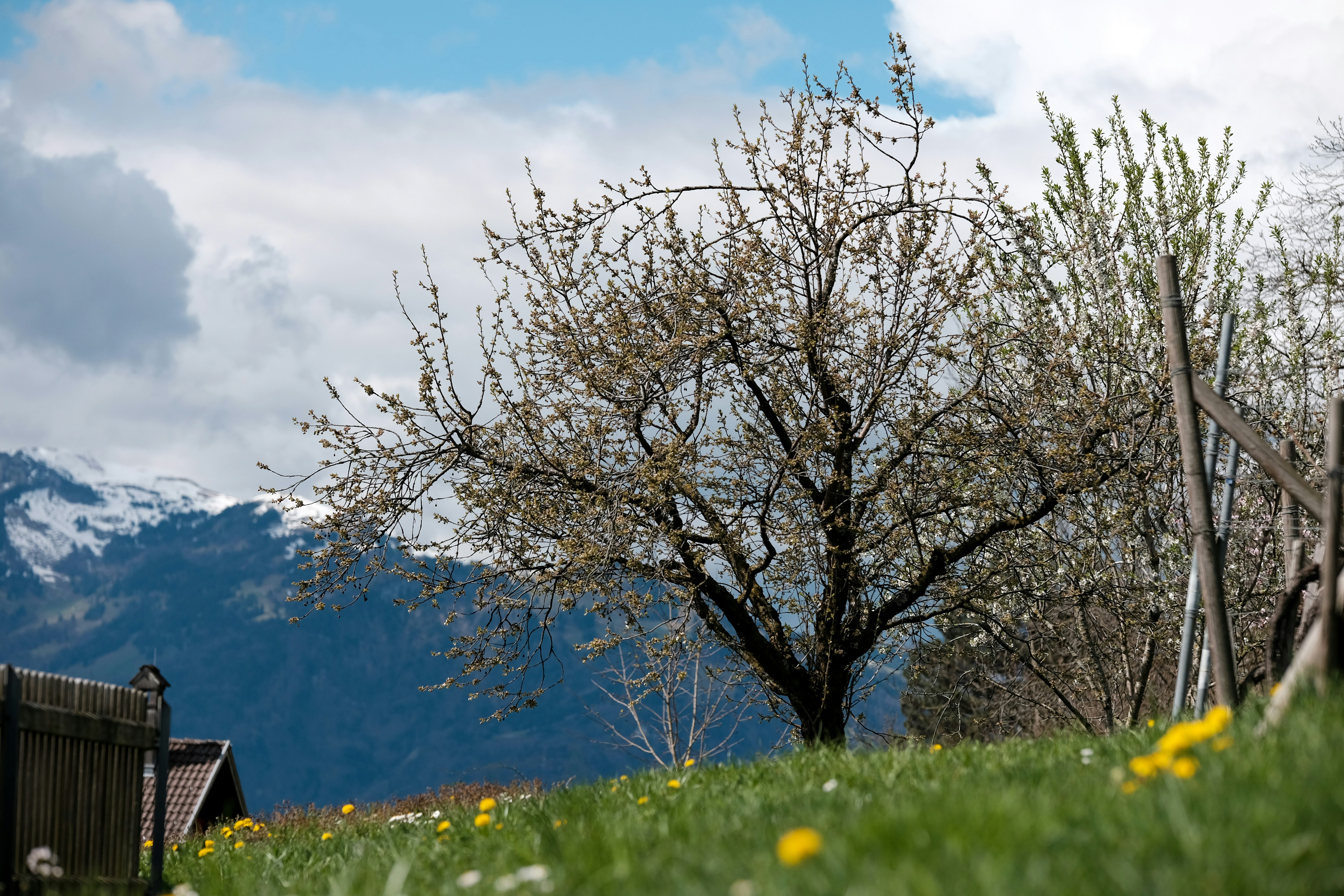 Image by Oleksandr Zbanduto via Unsplash