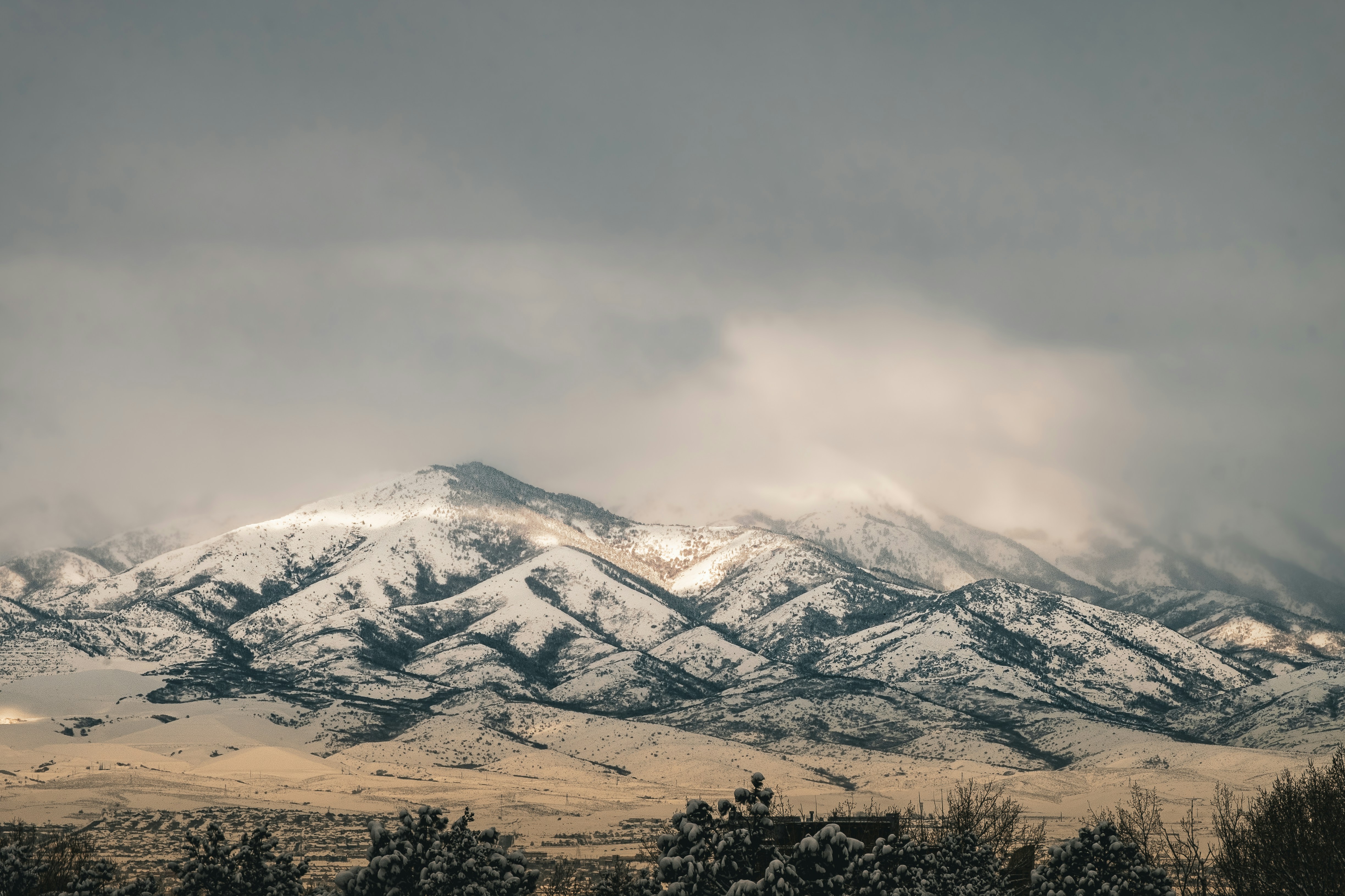Salt Lake City January Market Update