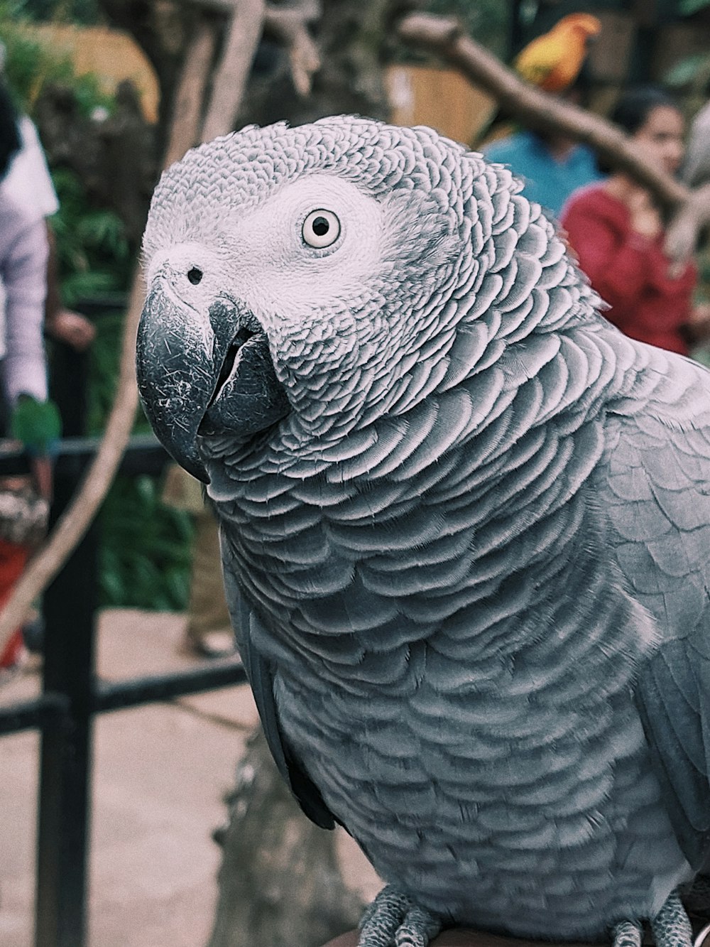 a close up of a bird on a person's hand