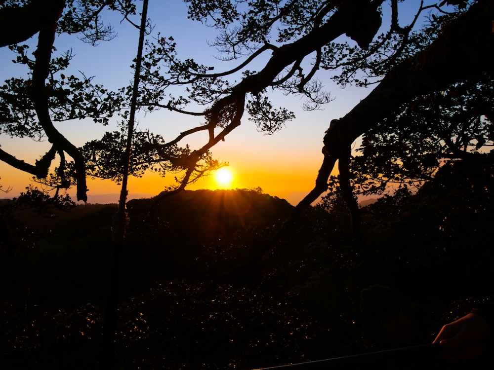 the sun is setting behind some trees