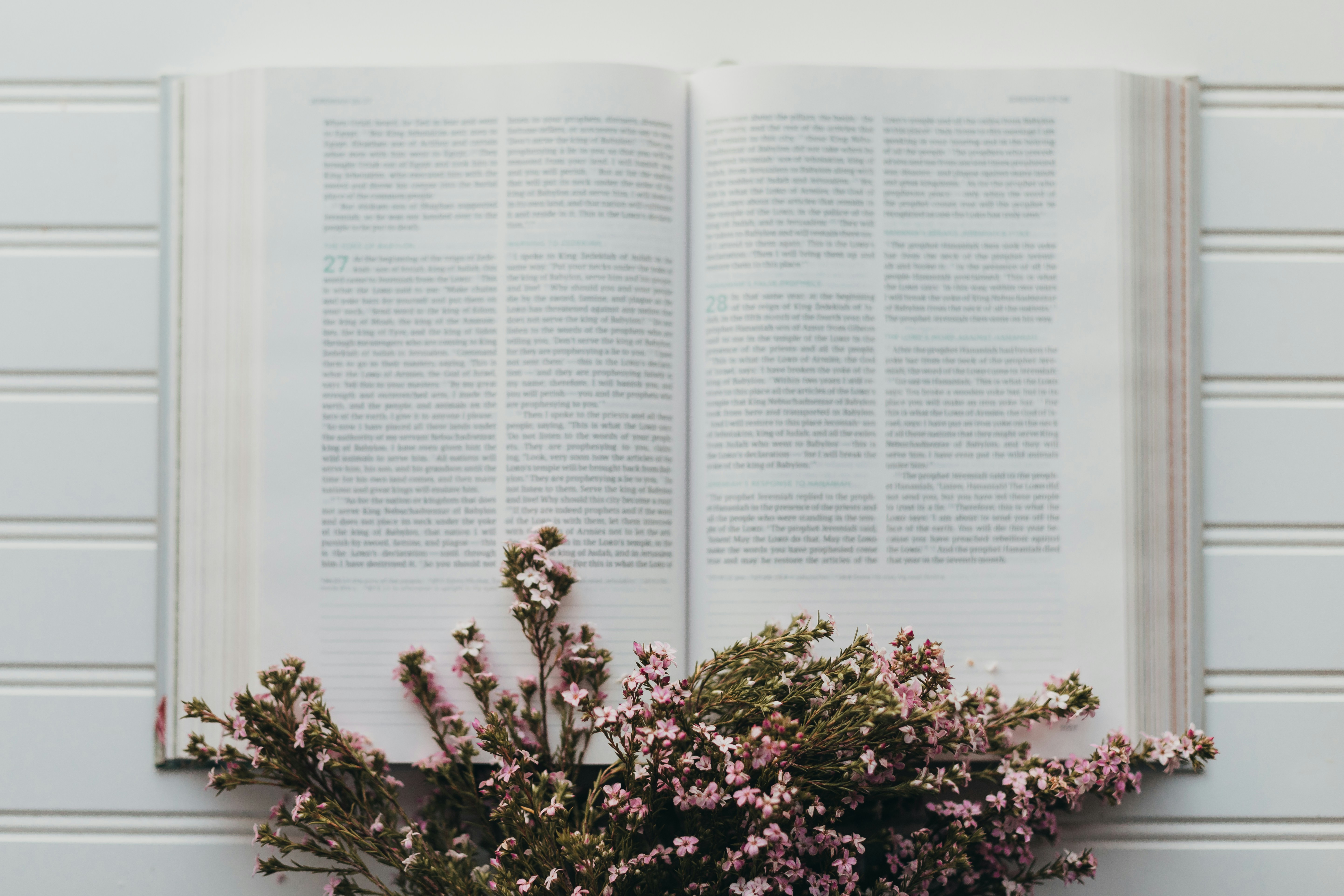 Photo by sixteenmilesout