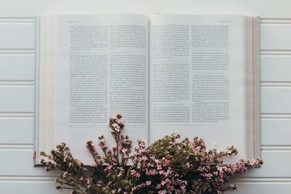 a vase of flowers sitting in front of an open book