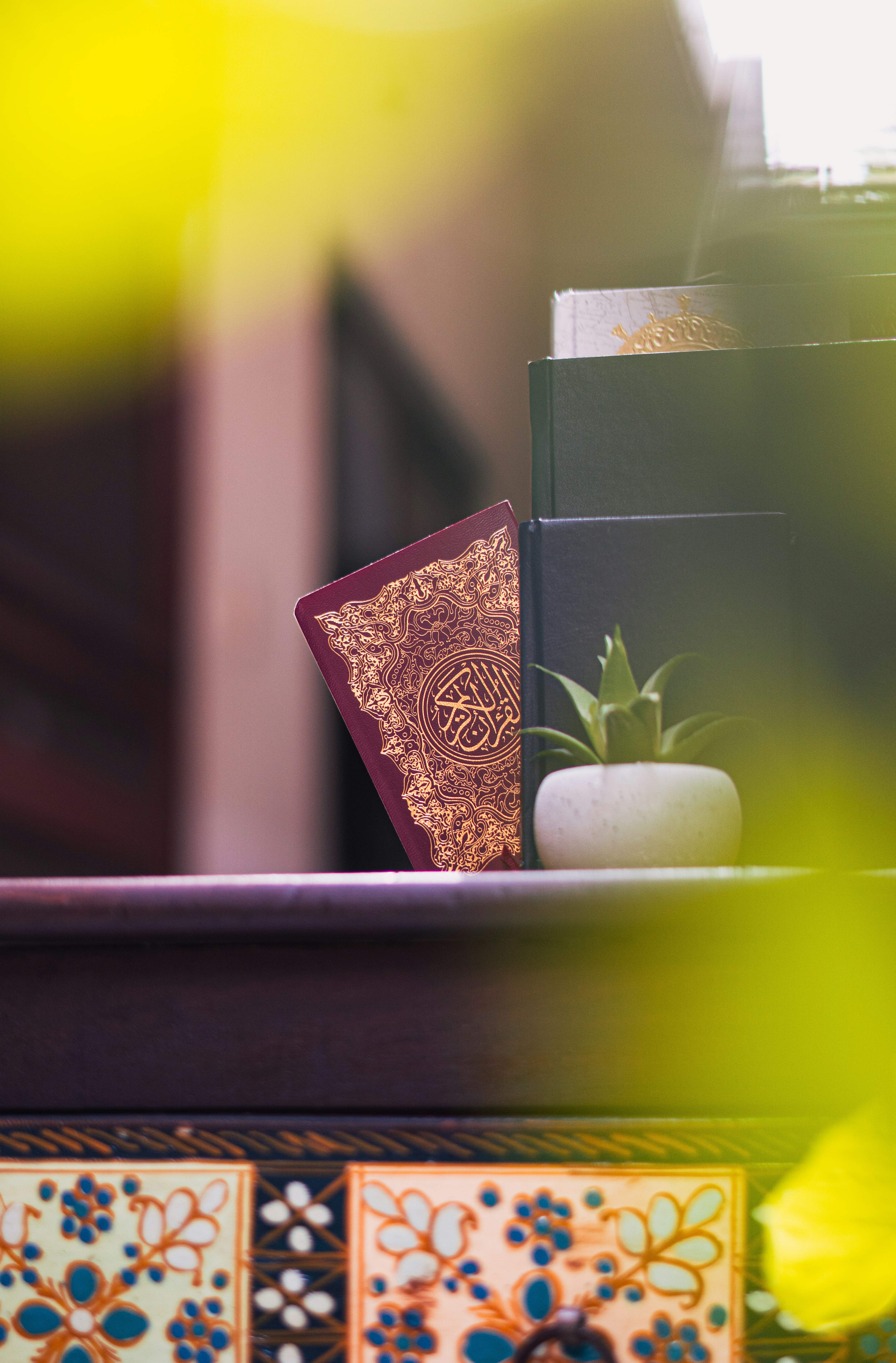 a book sitting on top of a table next to a plant