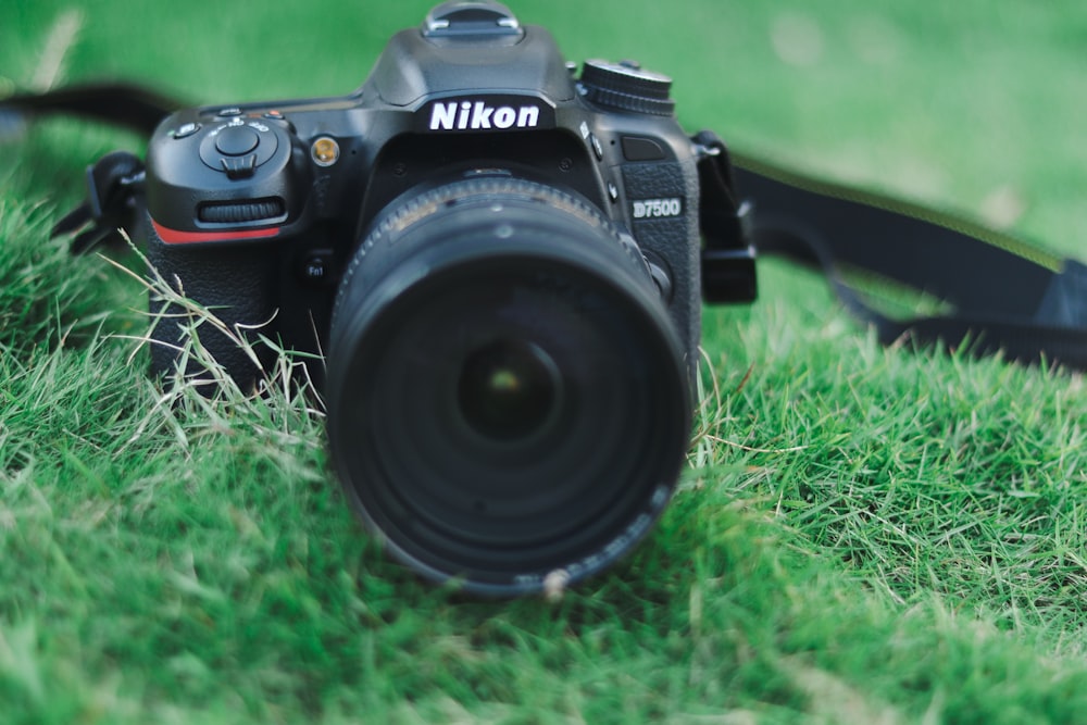a camera sitting on top of a lush green field