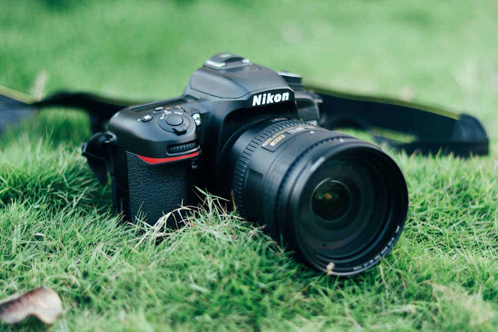 a camera sitting on top of a lush green field