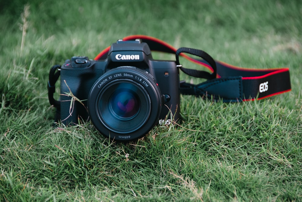 a camera sitting in the grass with a strap around it