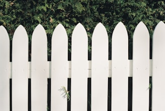 a white picket fence with a green bush behind it