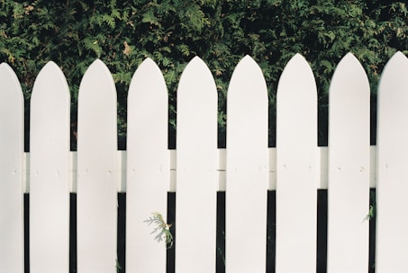 a white picket fence with a green bush behind it