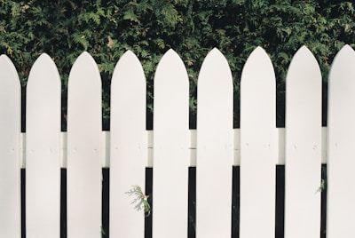 a white picket fence with a green bush behind it