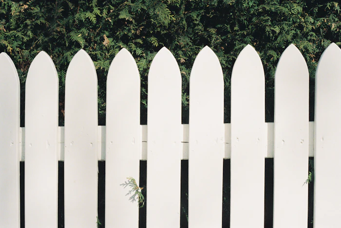 Close view of white gothic-point pickets against green hedge