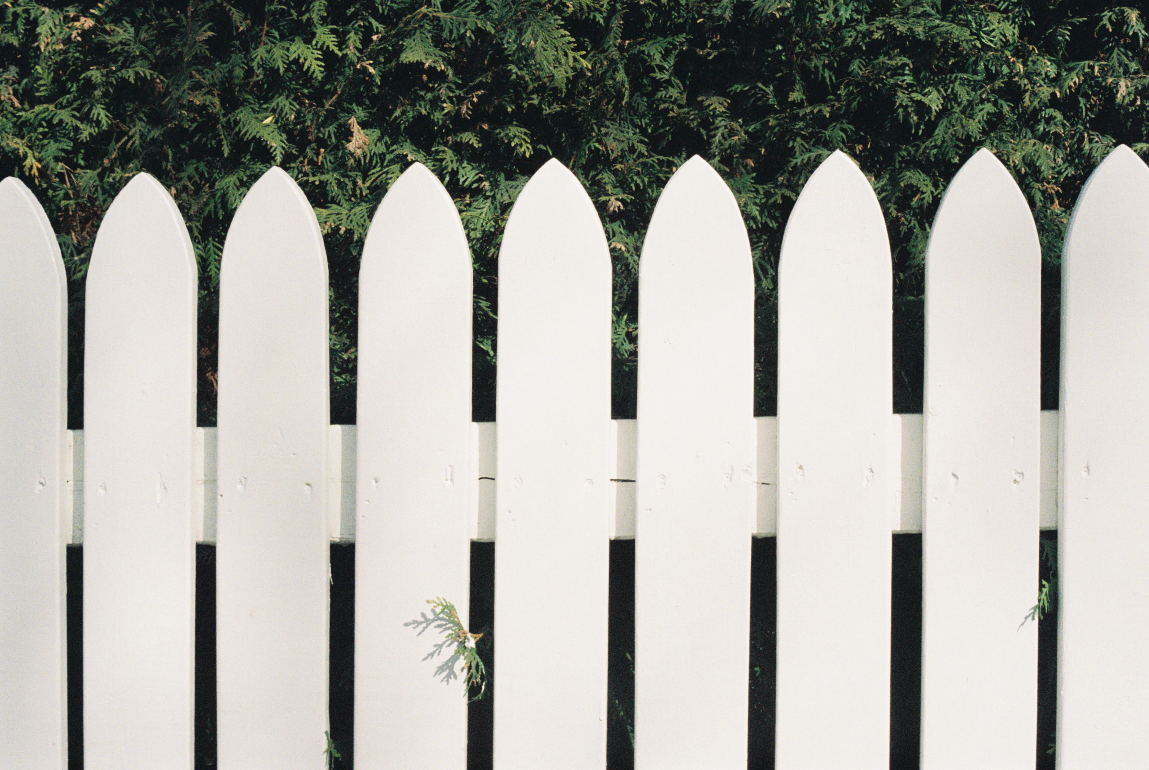 White picket fence with green bushes behind