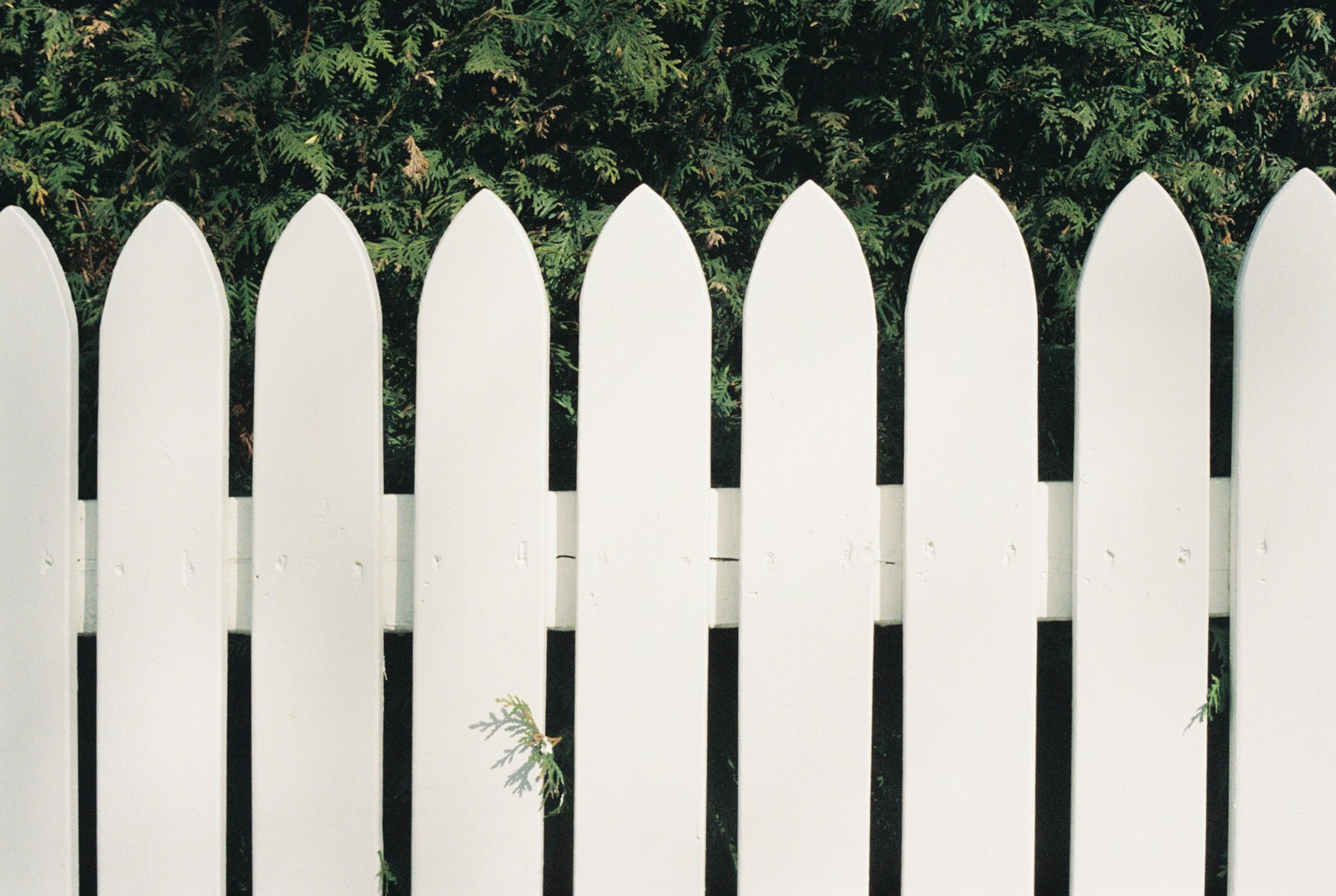 White vinyl privacy fence