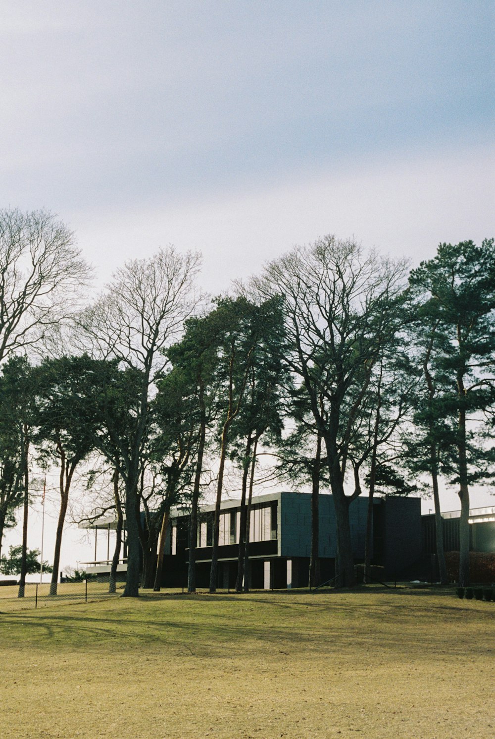 a group of trees in front of a building