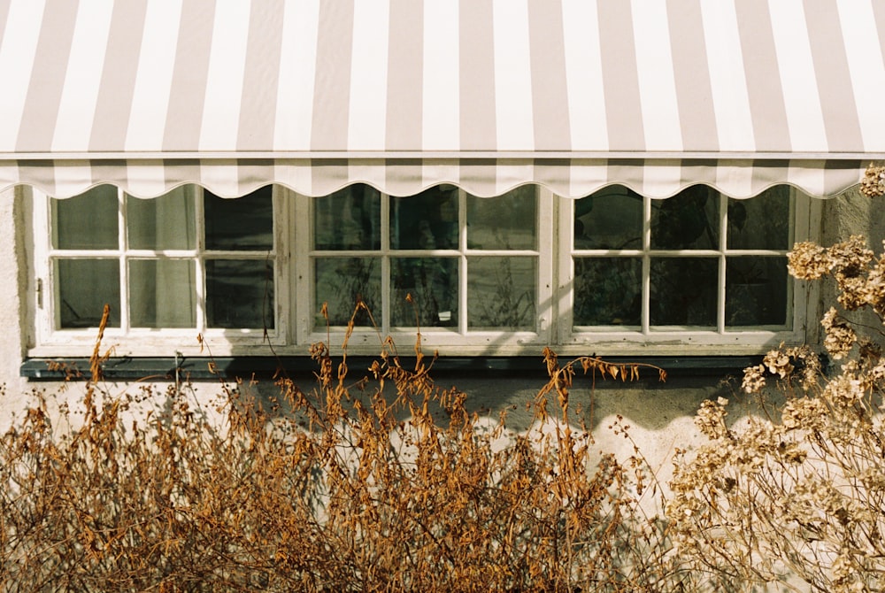 a window with a striped awning over it