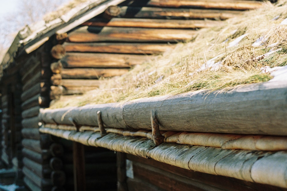 a close up of a roof with grass growing on it