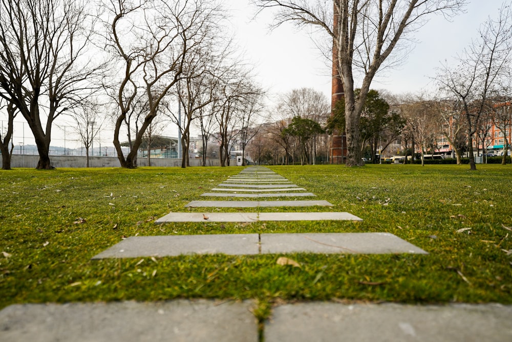 a stone path in the middle of a grassy field